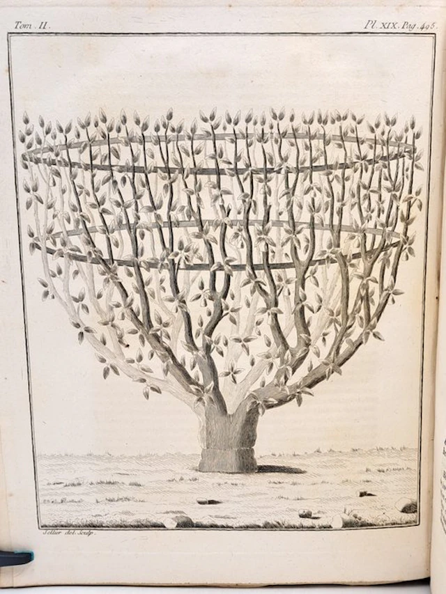 François Rozier - [Tome II] - Cours complet d'agriculture - 1785