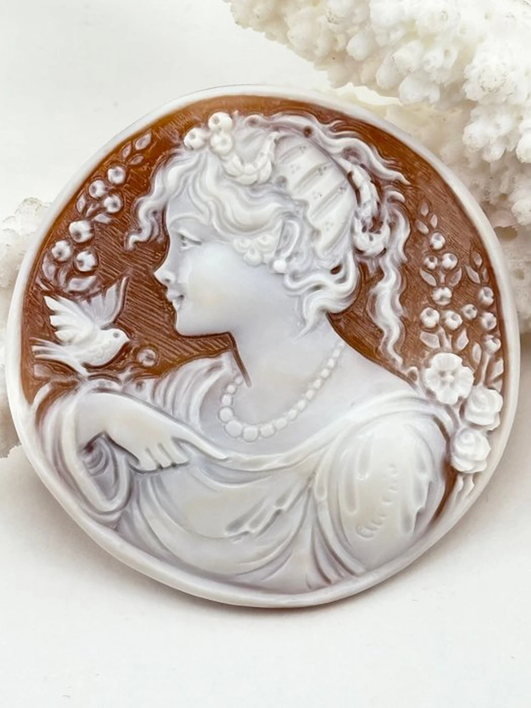 Cassis madagascariensis - Cameo - Hand-carved cameo