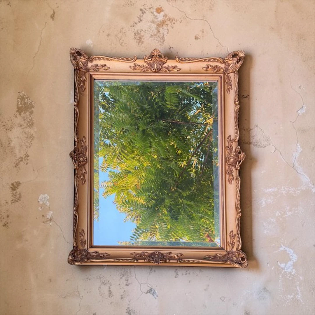 Mirror - Wood - Louis XVI