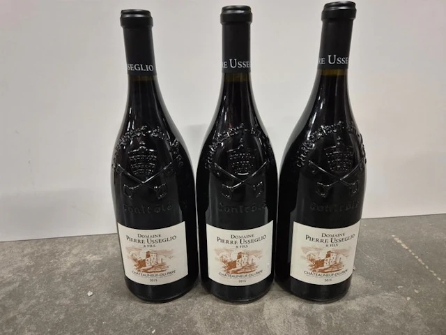 2015 Domaine Pierre Usseglio - Châteauneuf-du-Pape - 3 Magnums (1.5L)