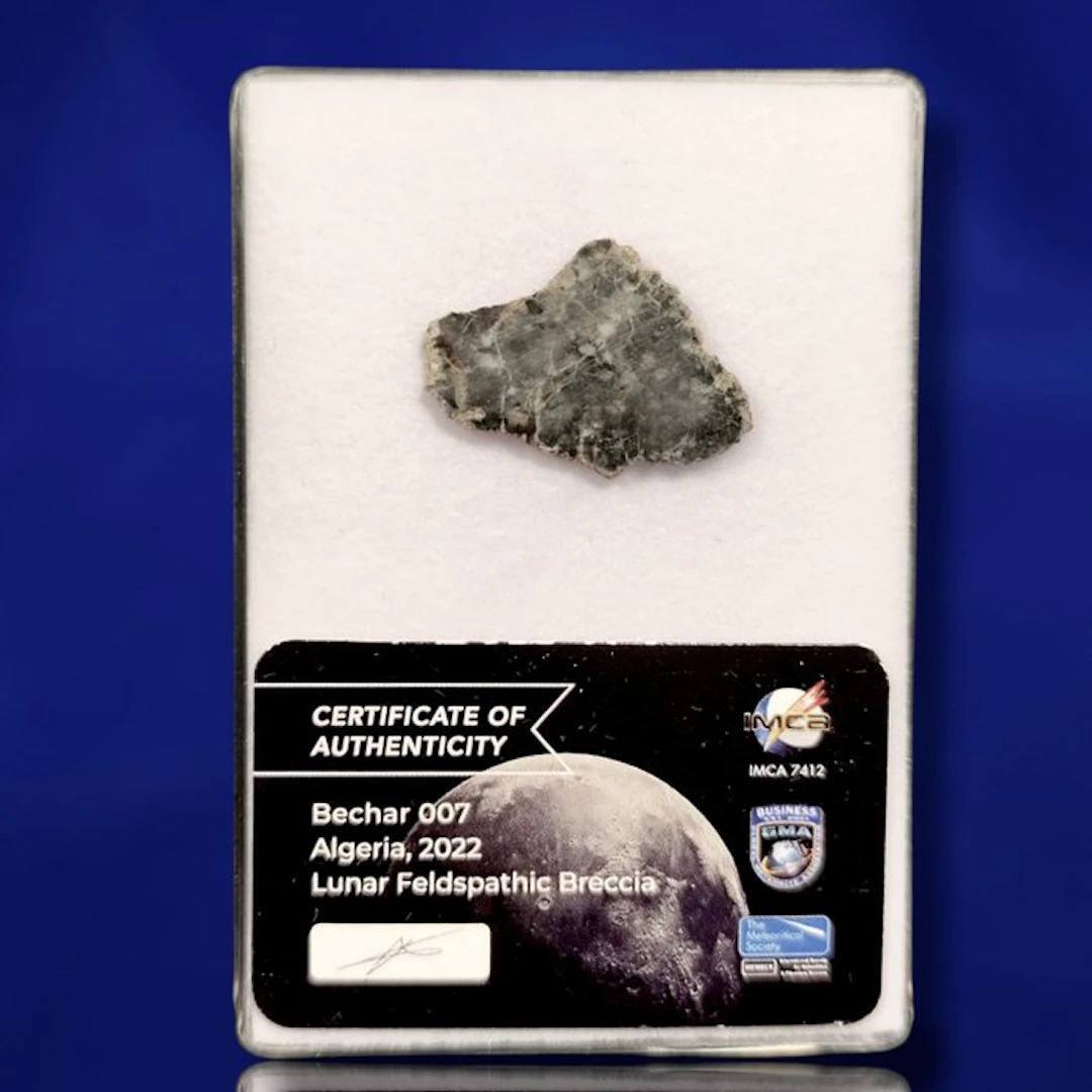Authentic LUNAR METEORITE SLICE -feldspathic breccia