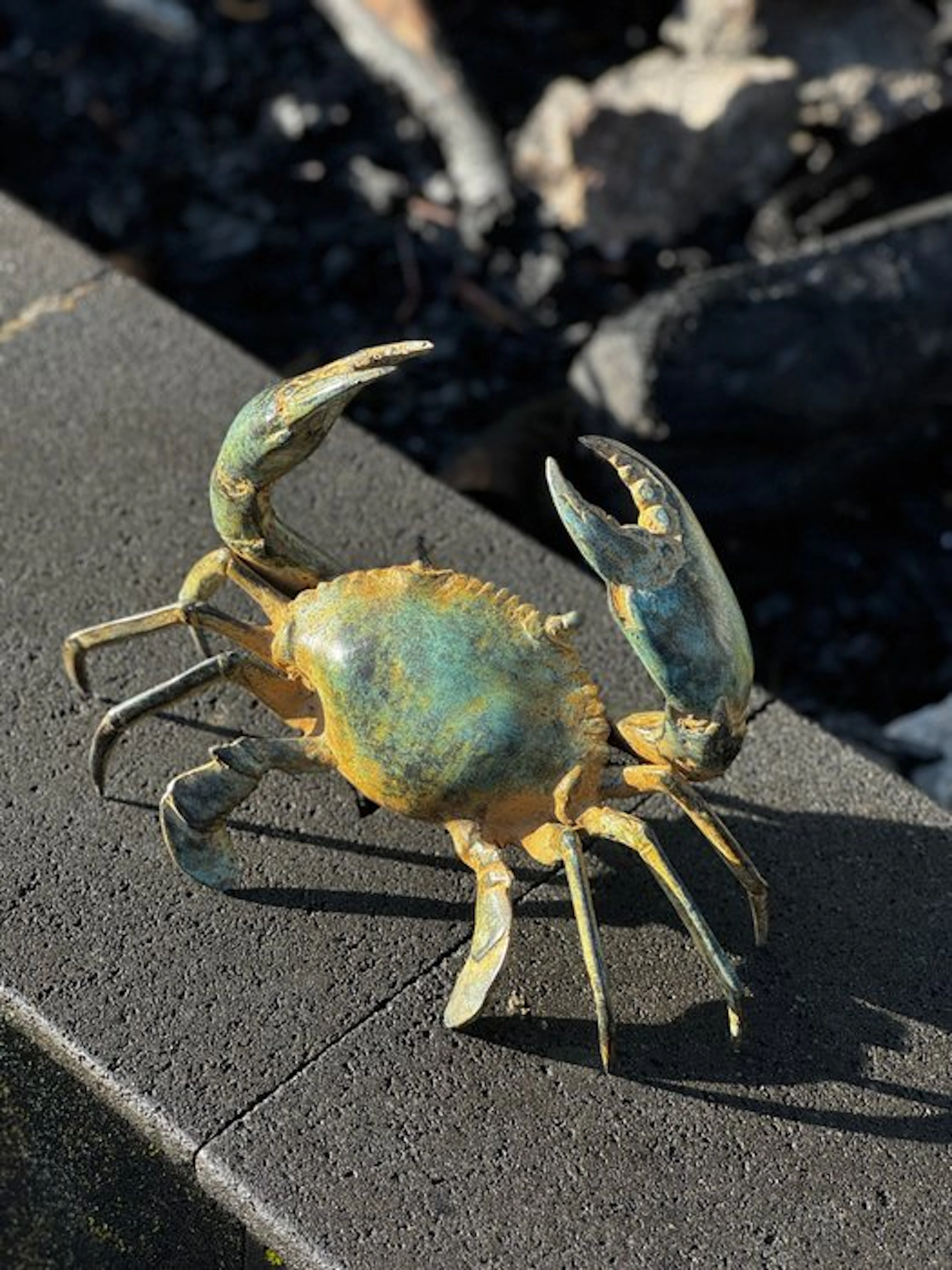 Sculpture, NO RESERVE PRICE - Crab Sculpture - 24 cm - Bronze