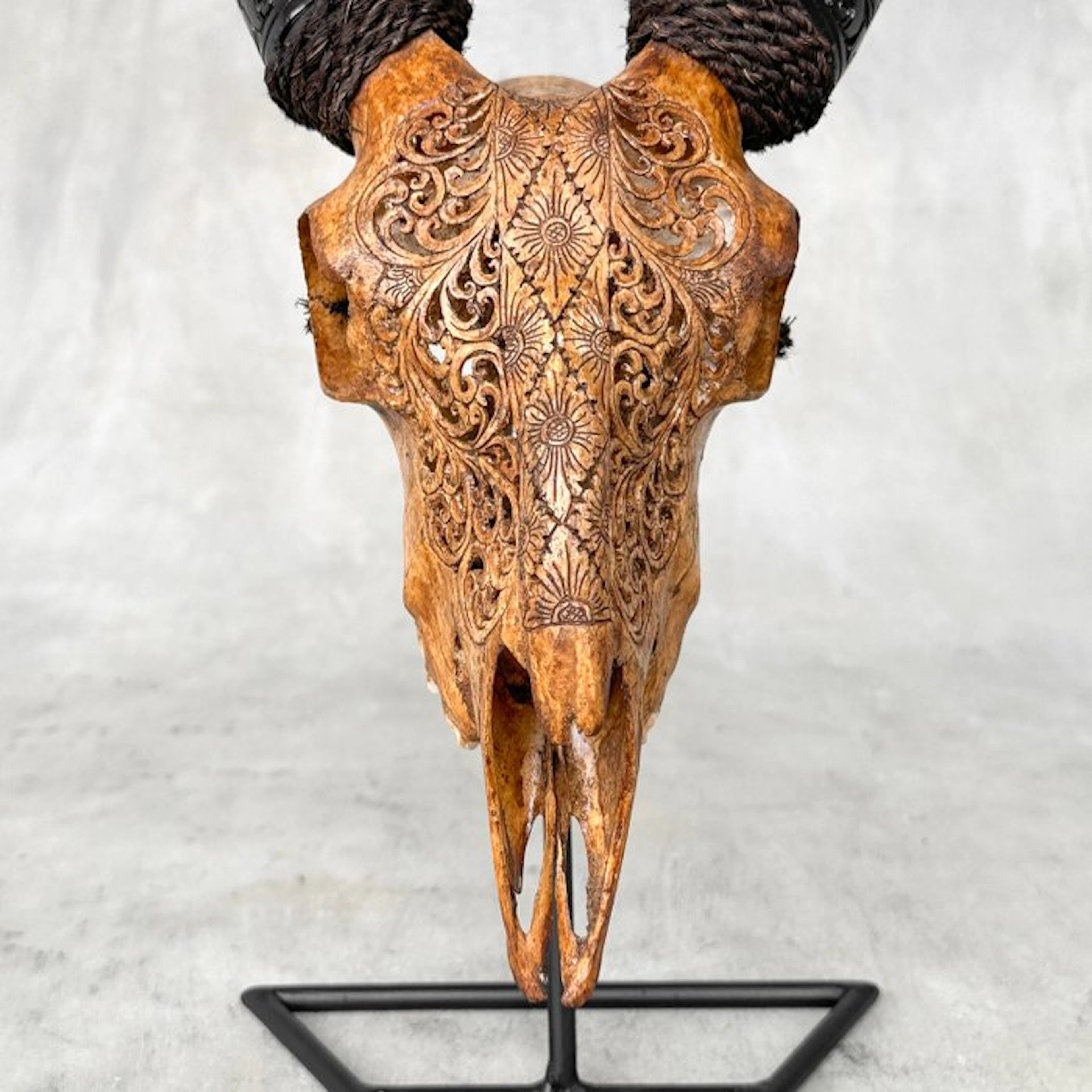 NO RESERVE PRICE - Authentic Brown Hand Carved Goat Skull...