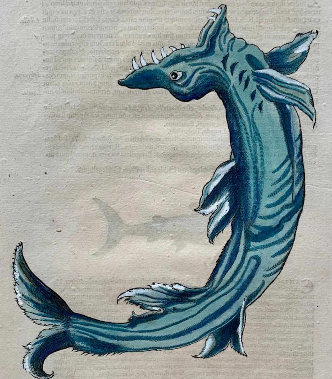 Conrad Gesner - Historia Animalium - 1558