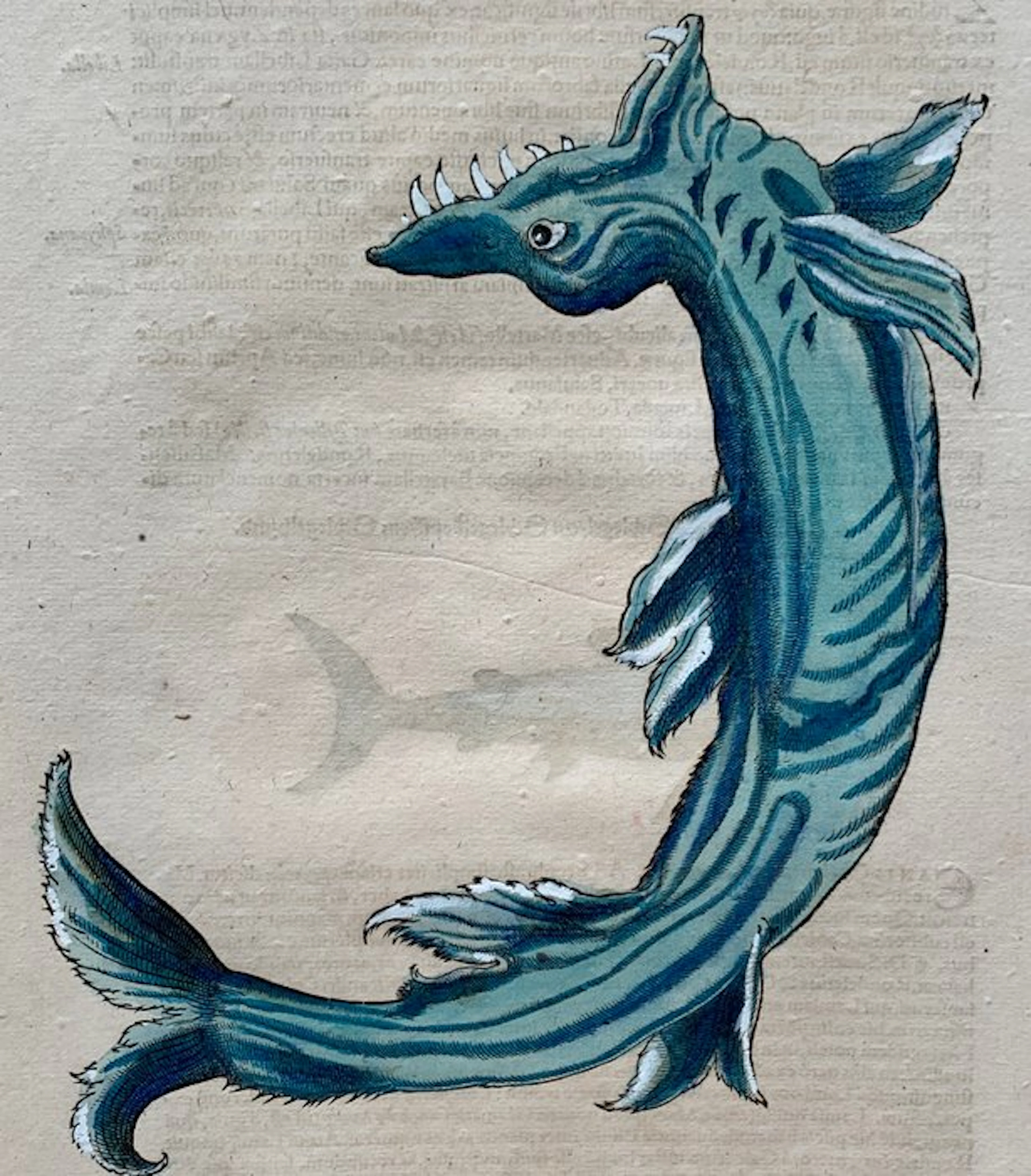 Conrad Gesner - Historia Animalium - 1558