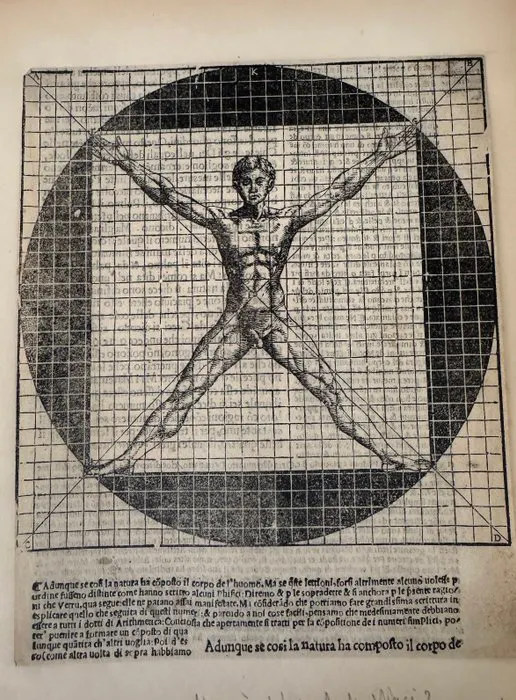 European school (XVI) - L’Homme vitruvien — Homo ad circulum et ad quadratum.