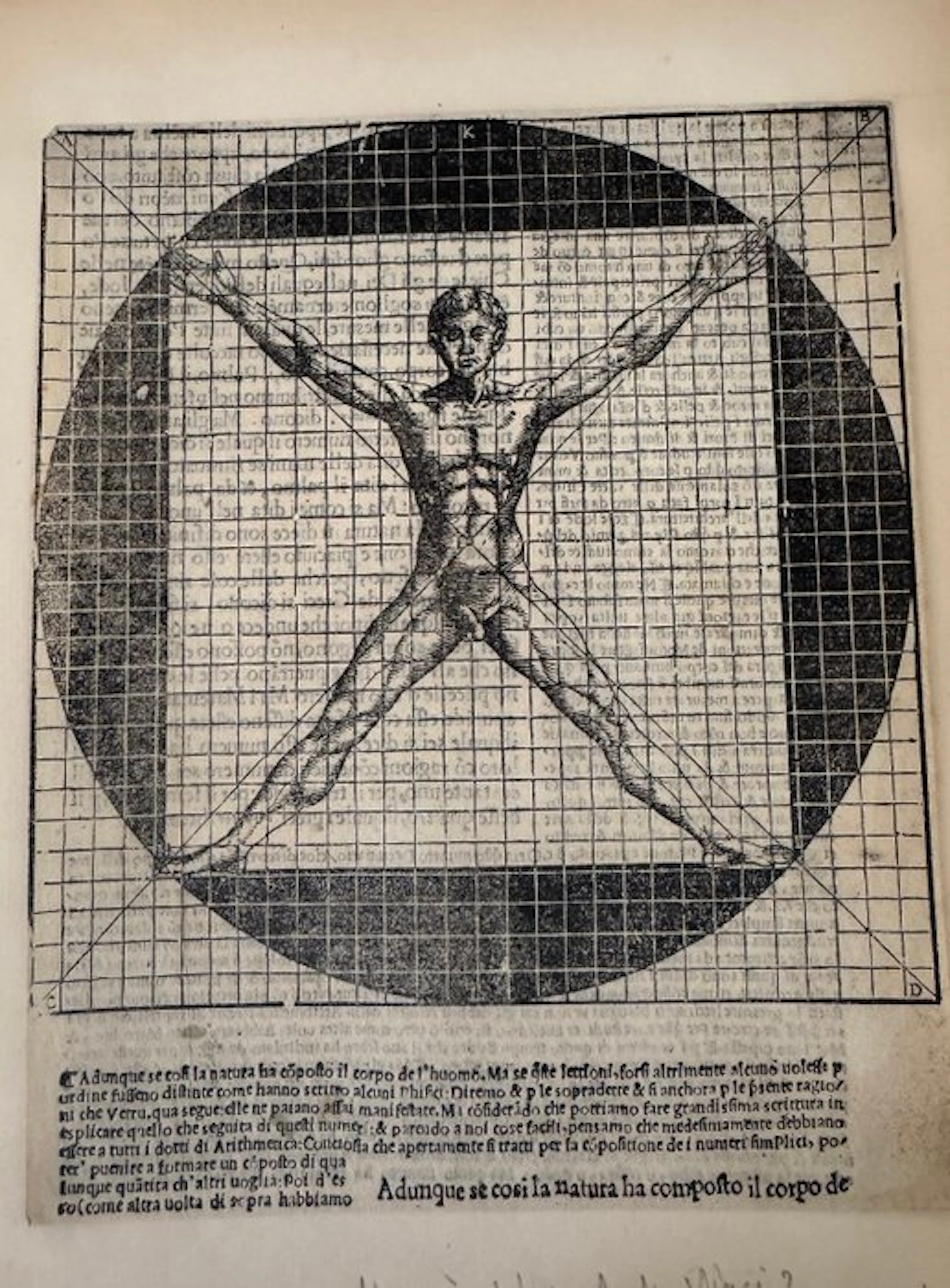 European school (XVI) - L’Homme vitruvien — Homo ad circulum et ad quadratum.