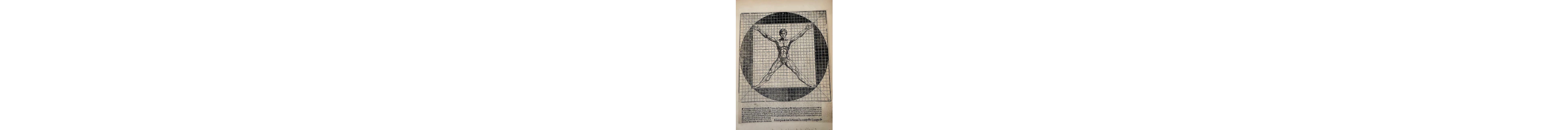 European school (XVI) - L’Homme vitruvien — Homo ad circulum et ad quadratum.
