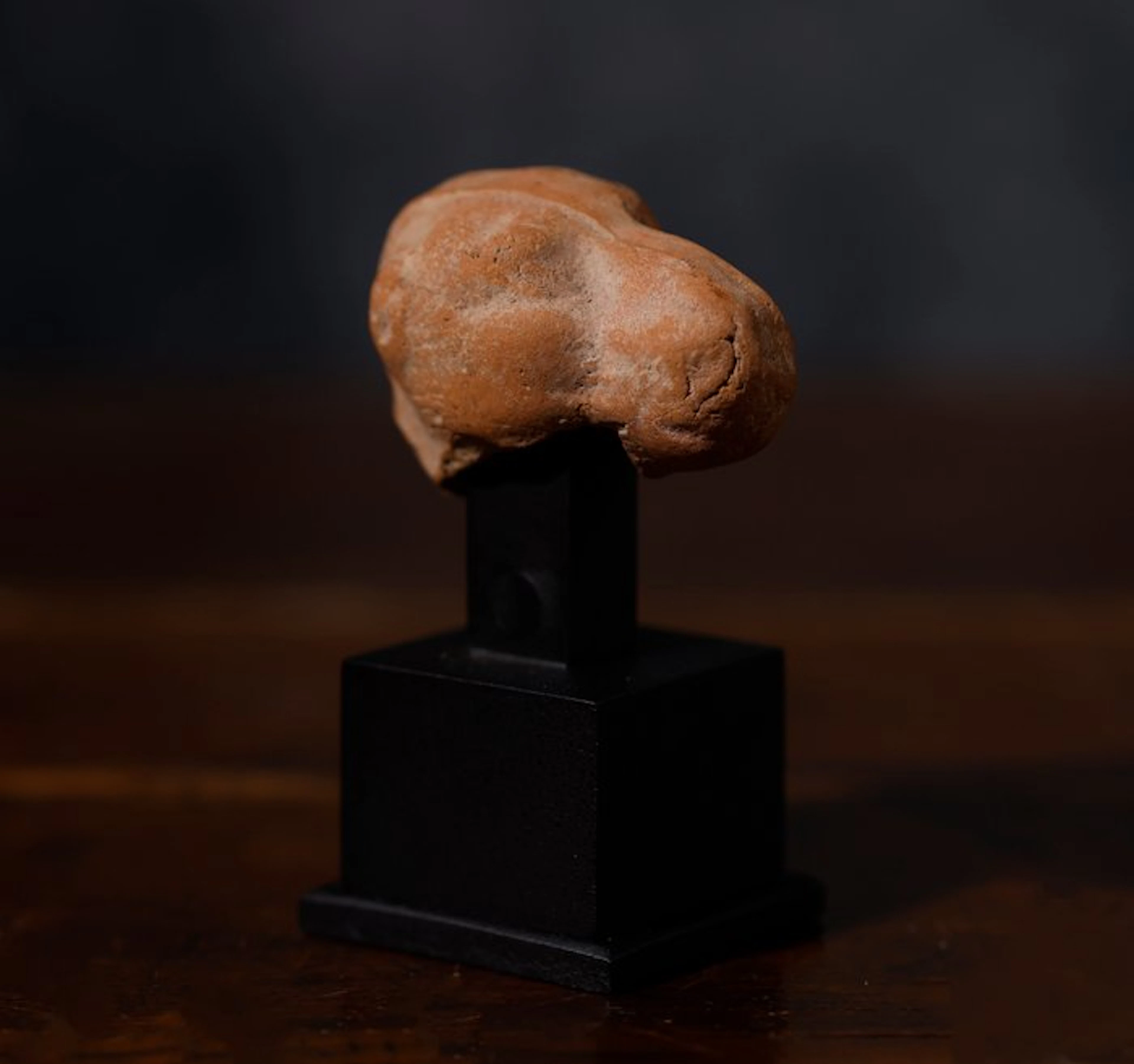 Eastern Roman terracotta camel fragment head - 4 cm