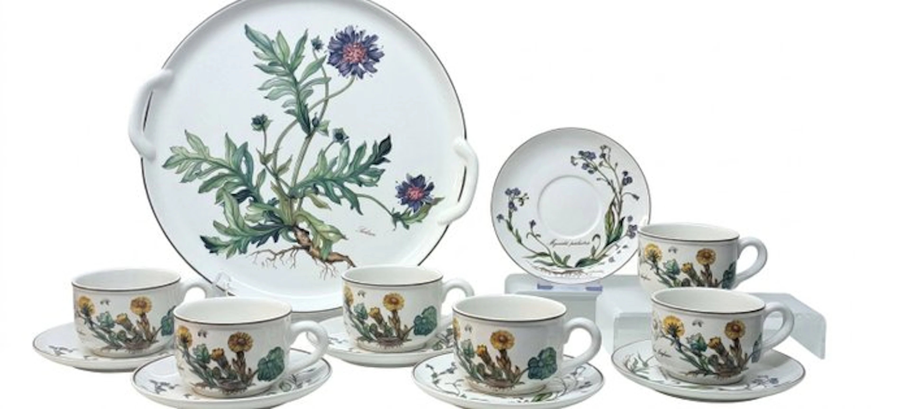 Villeroy & Boch - Coffee and tea service (13) - Botanica...
