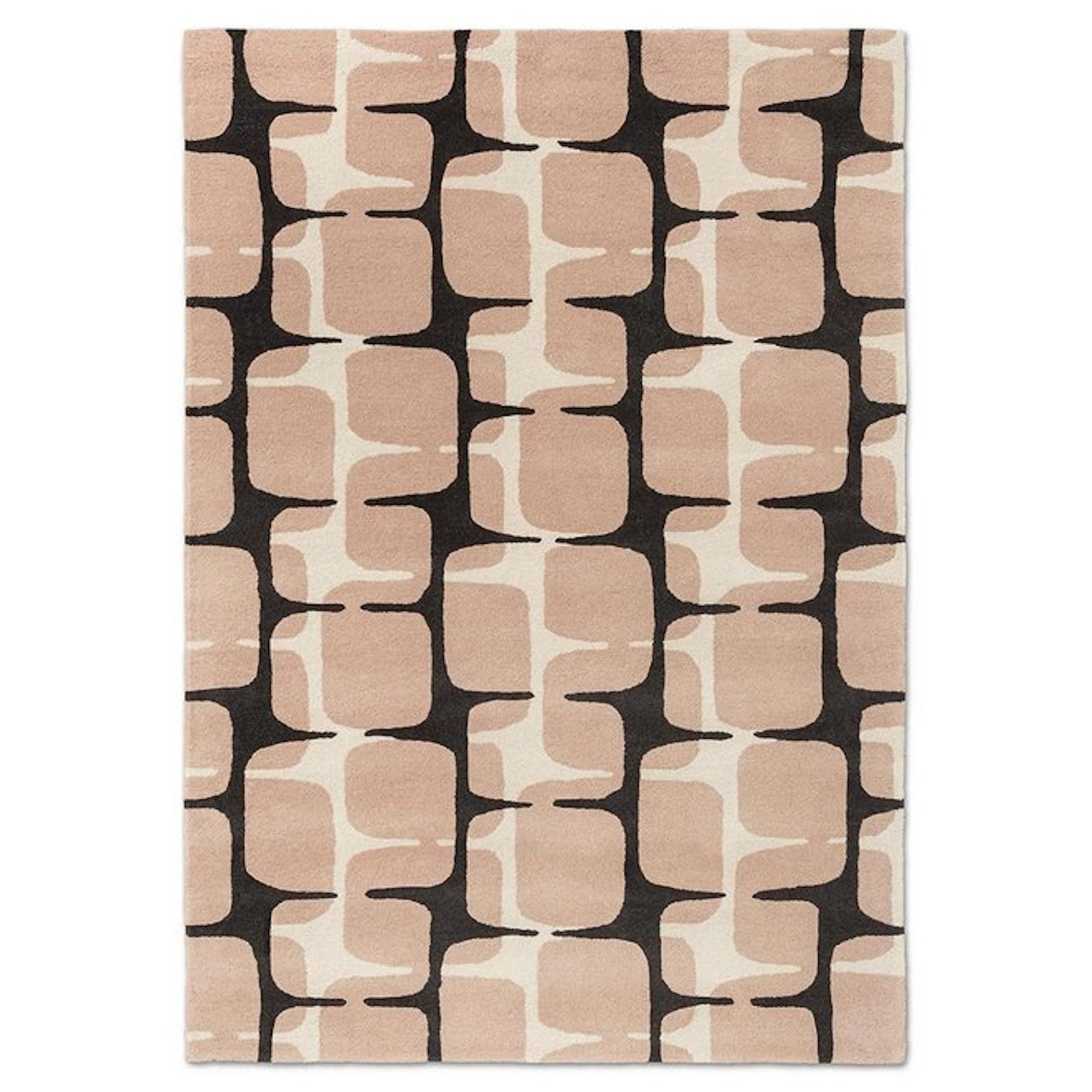 Brink en Campman - Scion - Going Lhoko - Rug - 230 cm - 160 cm