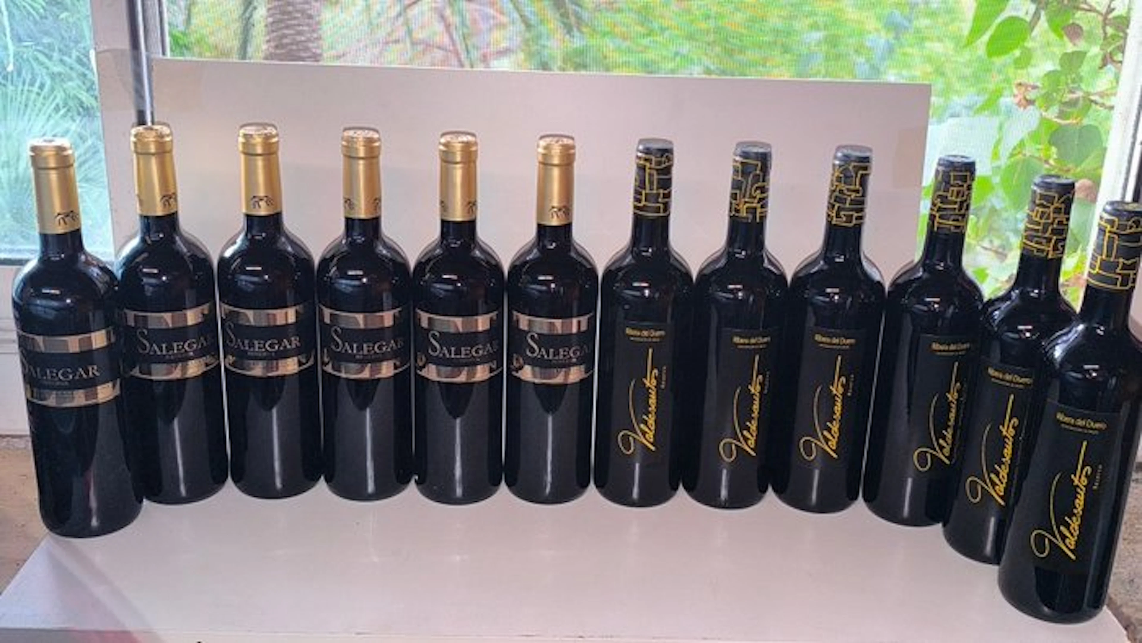 2015 Bodegas Valle de Monzón