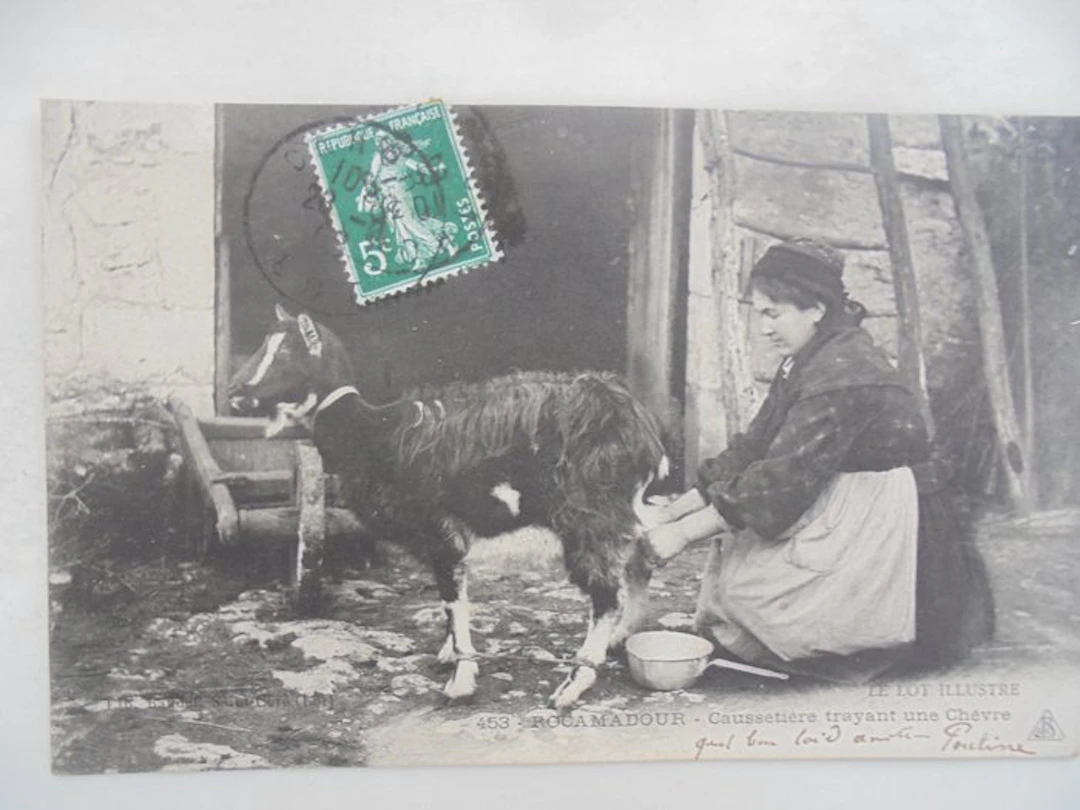 France - Our campaigns - Postcard (100) - 1900-1960