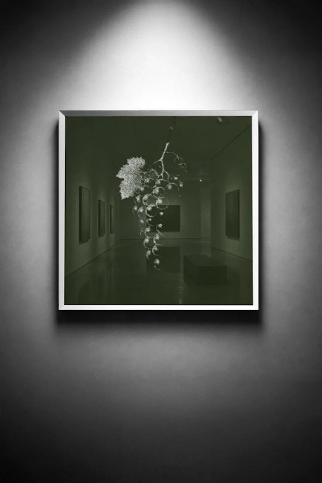 Tijs Dragtsma (1992) - A Cluster Held in Green