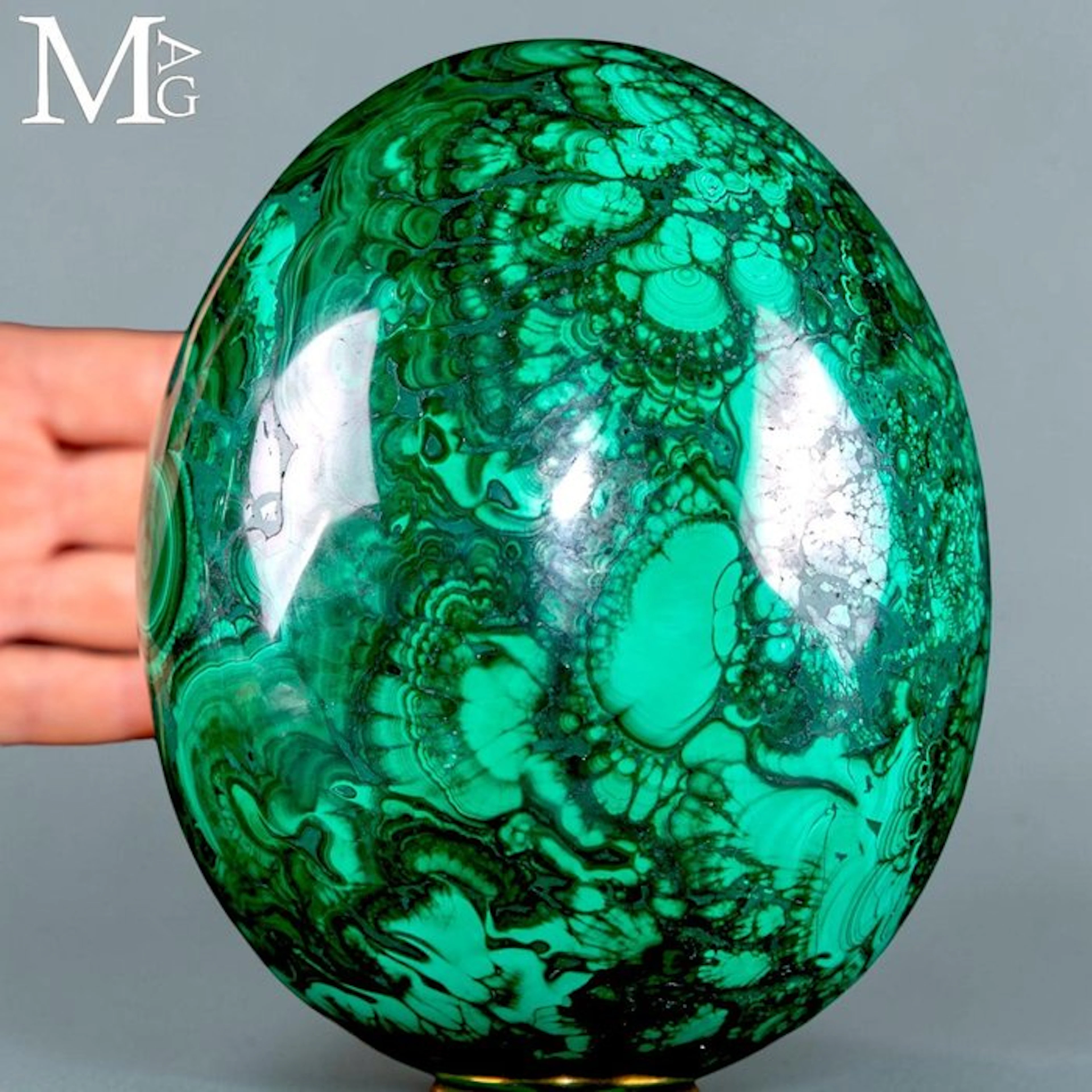 Deep green Malachite - Hypnotic Concentric and Botryoidal...