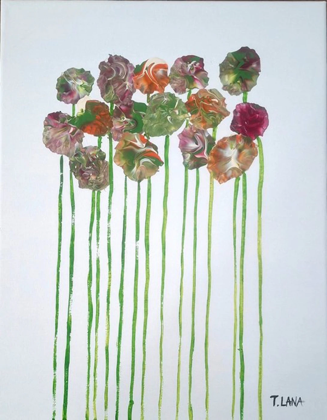 Terenzio Lana - screziature
