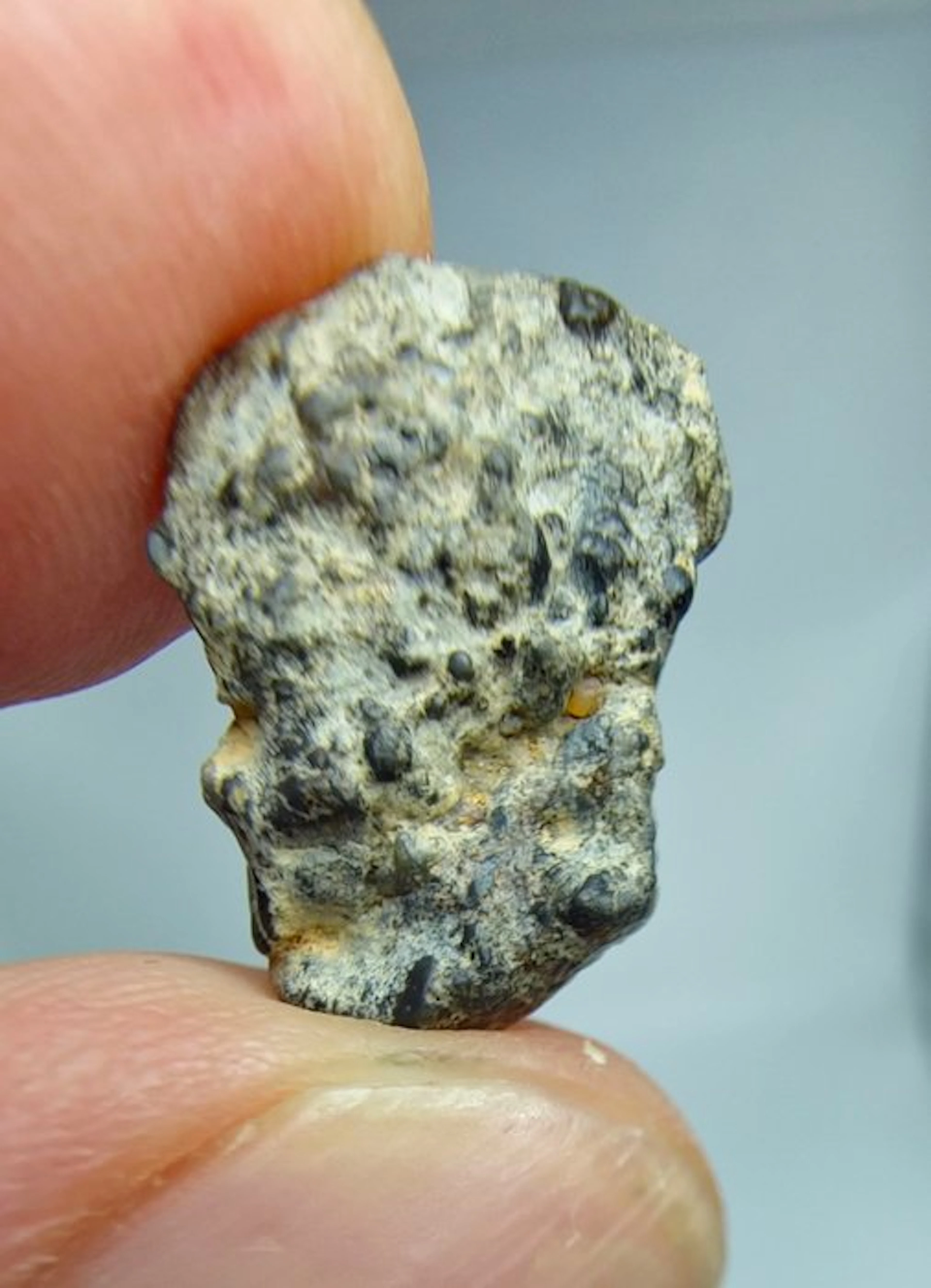 Lunar meteorite Bechar 006. Feldspathic breccia. - 1.83 g