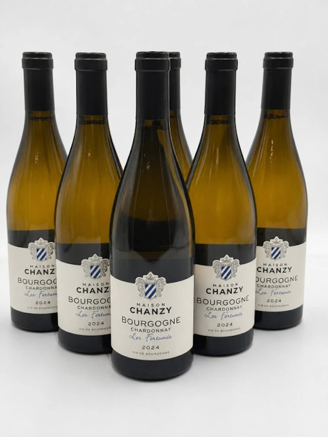 2024 Maison Chanzy Bourgogne Chardonnay Les Fortunés...