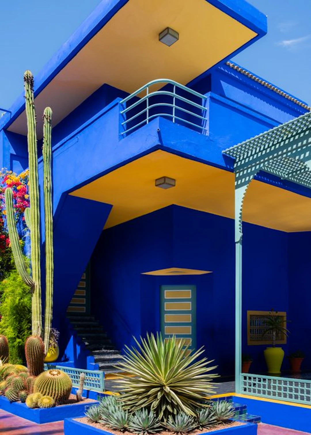 Dominik Valvo - Jardin Majorelle #4 (Marrakech 2024) XL