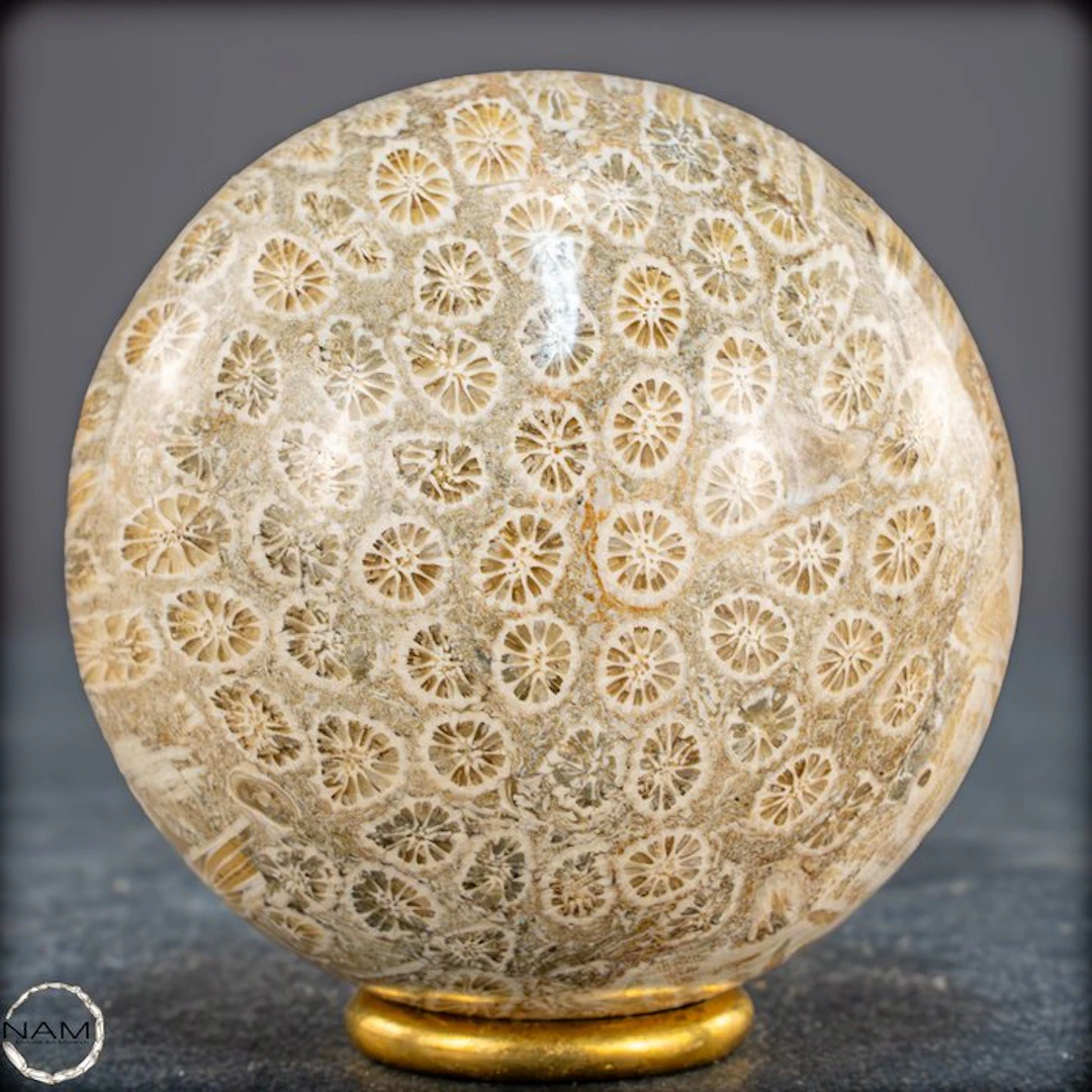Very rare fossil coral ball – Petrified masterpiece of...