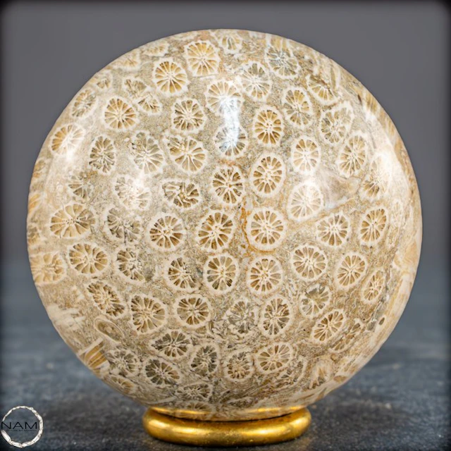 Very rare fossil coral ball – Petrified masterpiece of...