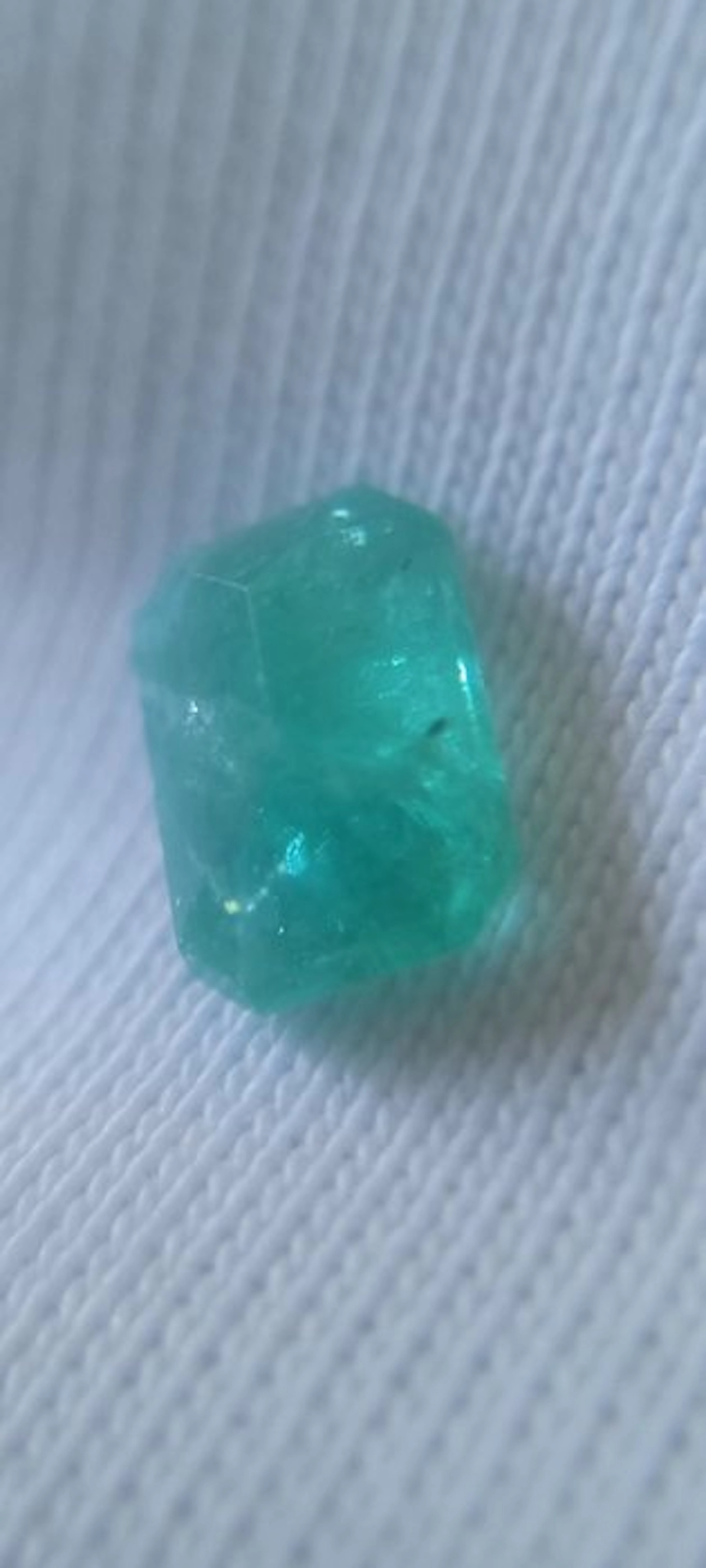 1 pcs Green Emerald - 2.51 ct - Guild Gem Laboratory - Esmeralda Natural Zambia