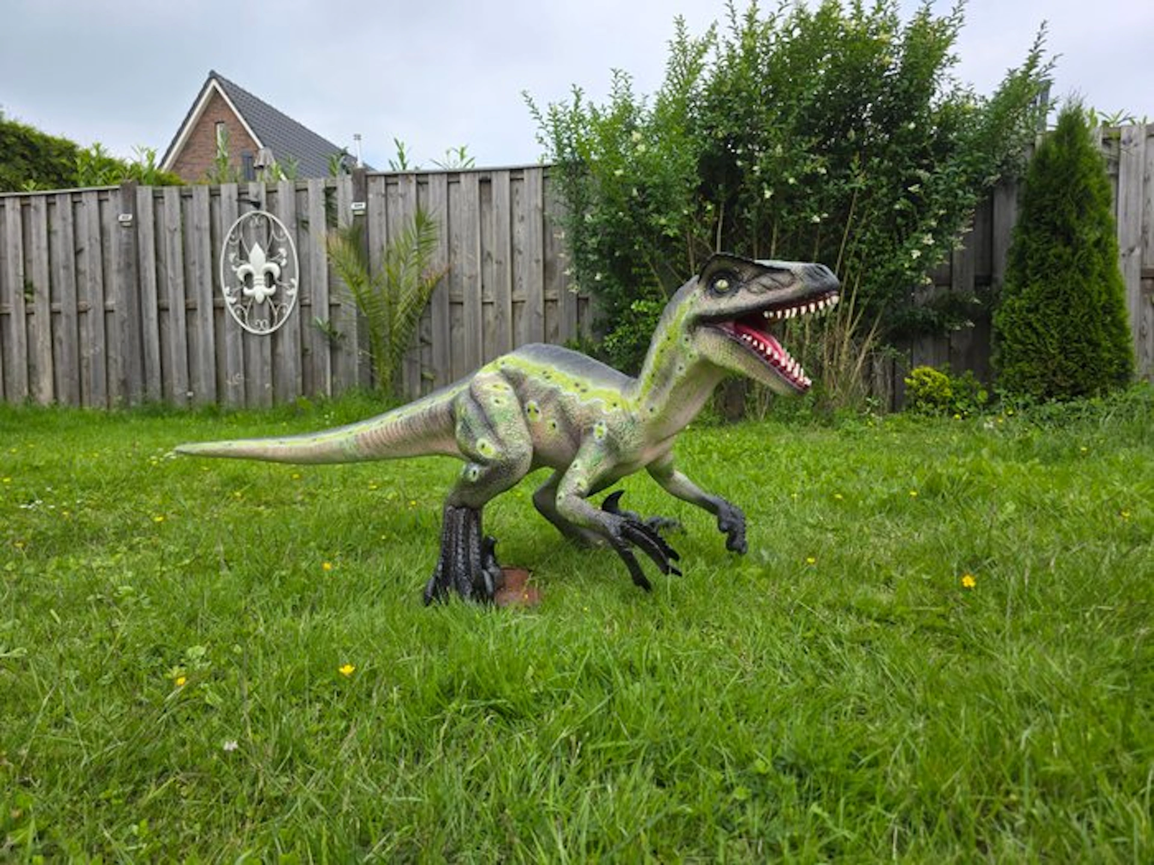 Statue, XL Realistic Velociraptor Dinosaur 155cm - 59 cm - mgo - 2026