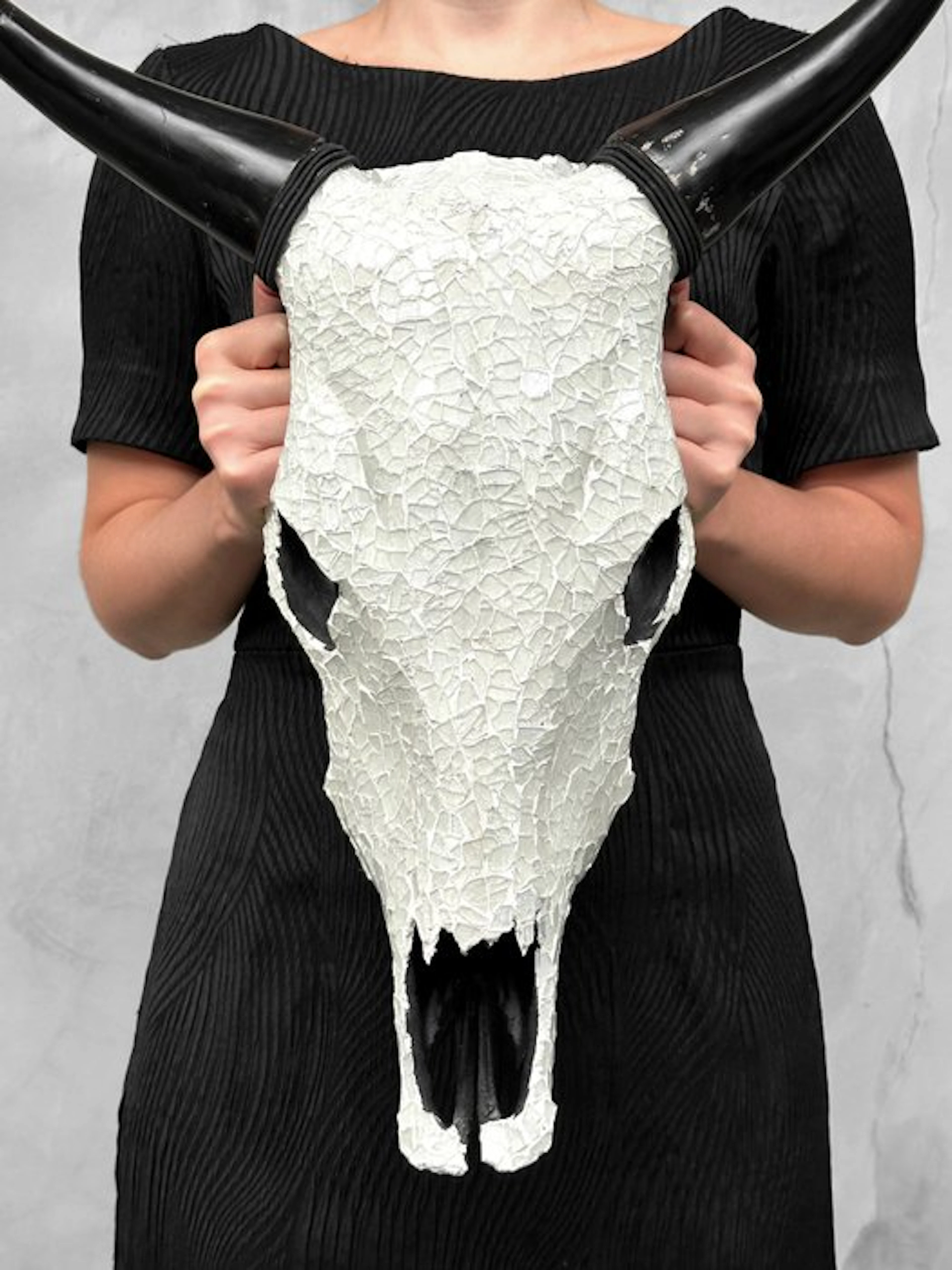 NO RESERVE PRICE - Stunning Cow skull with Glass Mosaic...