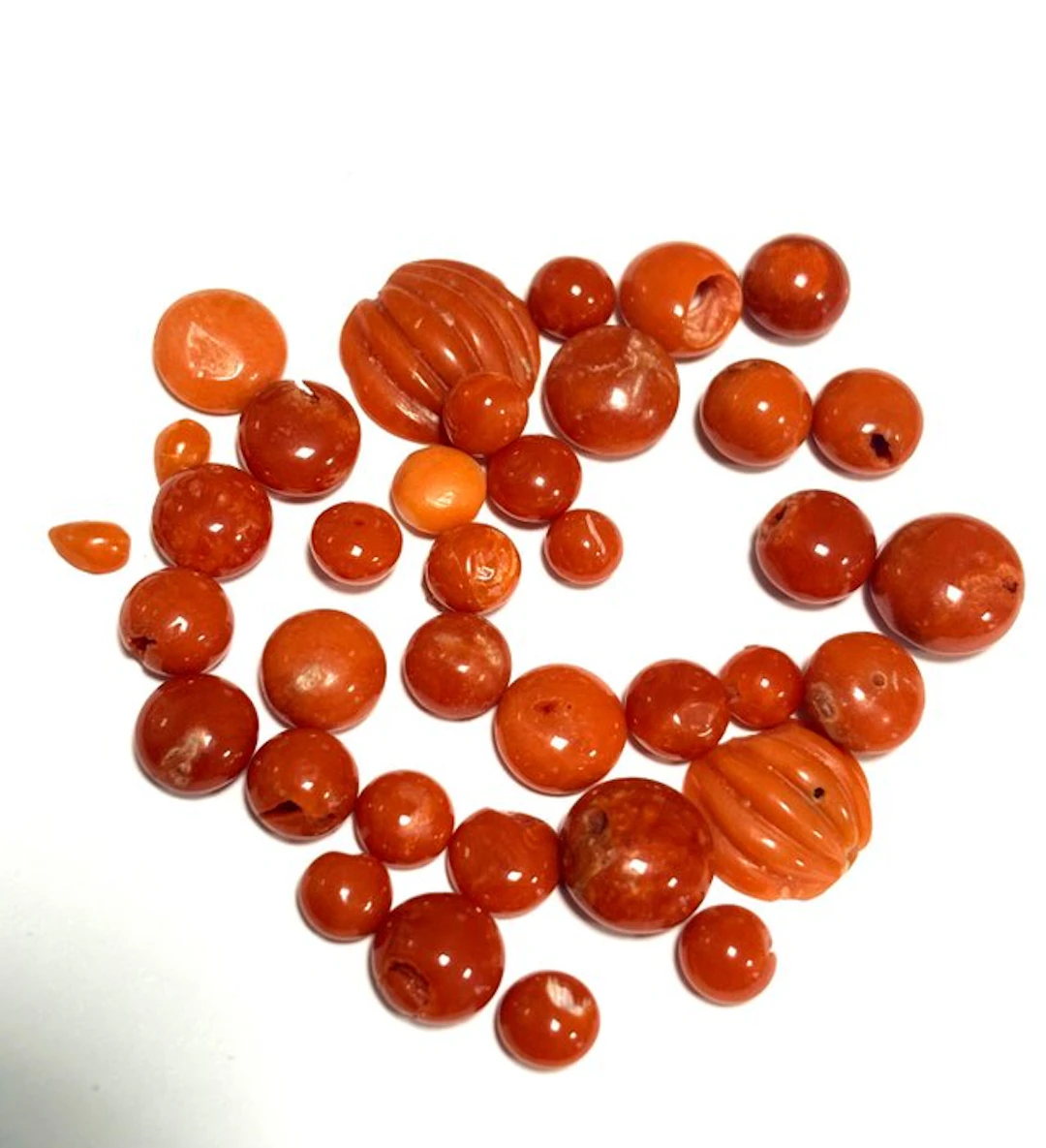 Coral Coral - Coralium rubrum (No reserve price)