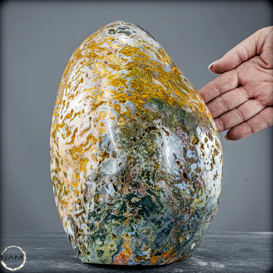 High-quality Ocean Jasper freeform with spectacular color variety