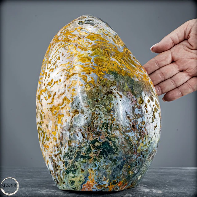 High-quality Ocean Jasper freeform with spectacular color variety