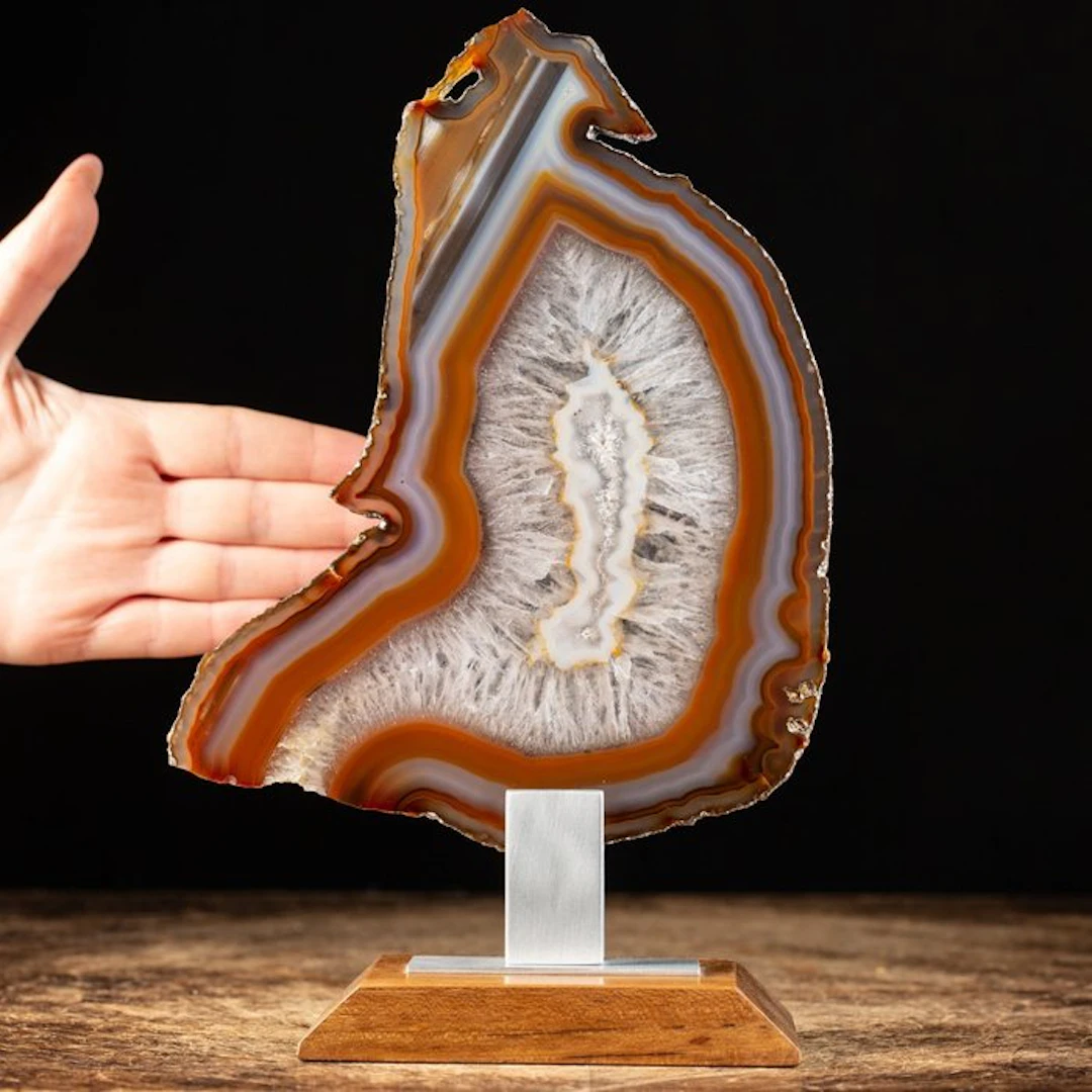 Really Particular - Irregular Agate Slice - Cornellian...