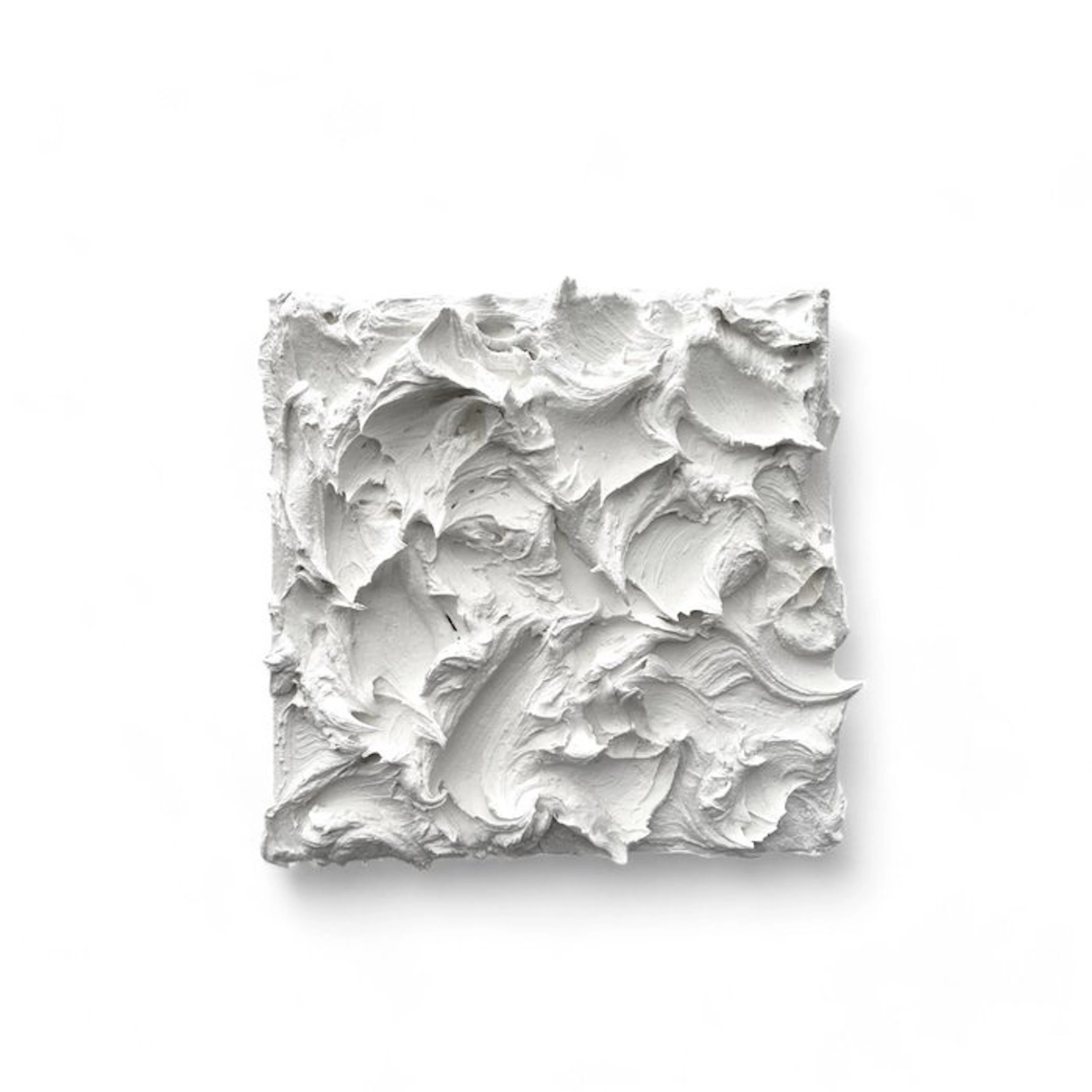 Artist A. Florencia Rojas - Spume White