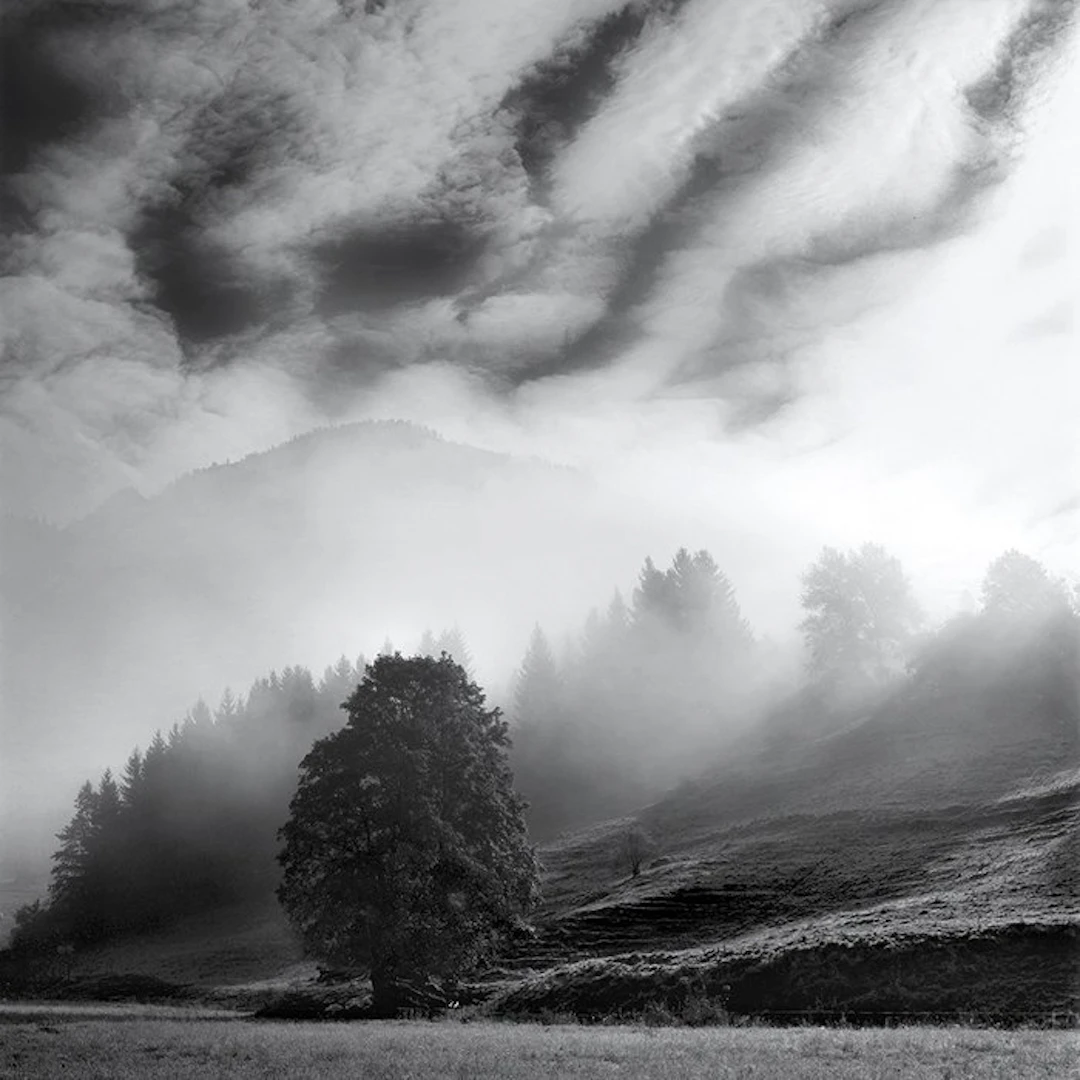 Frank Machalowski - Steiermark