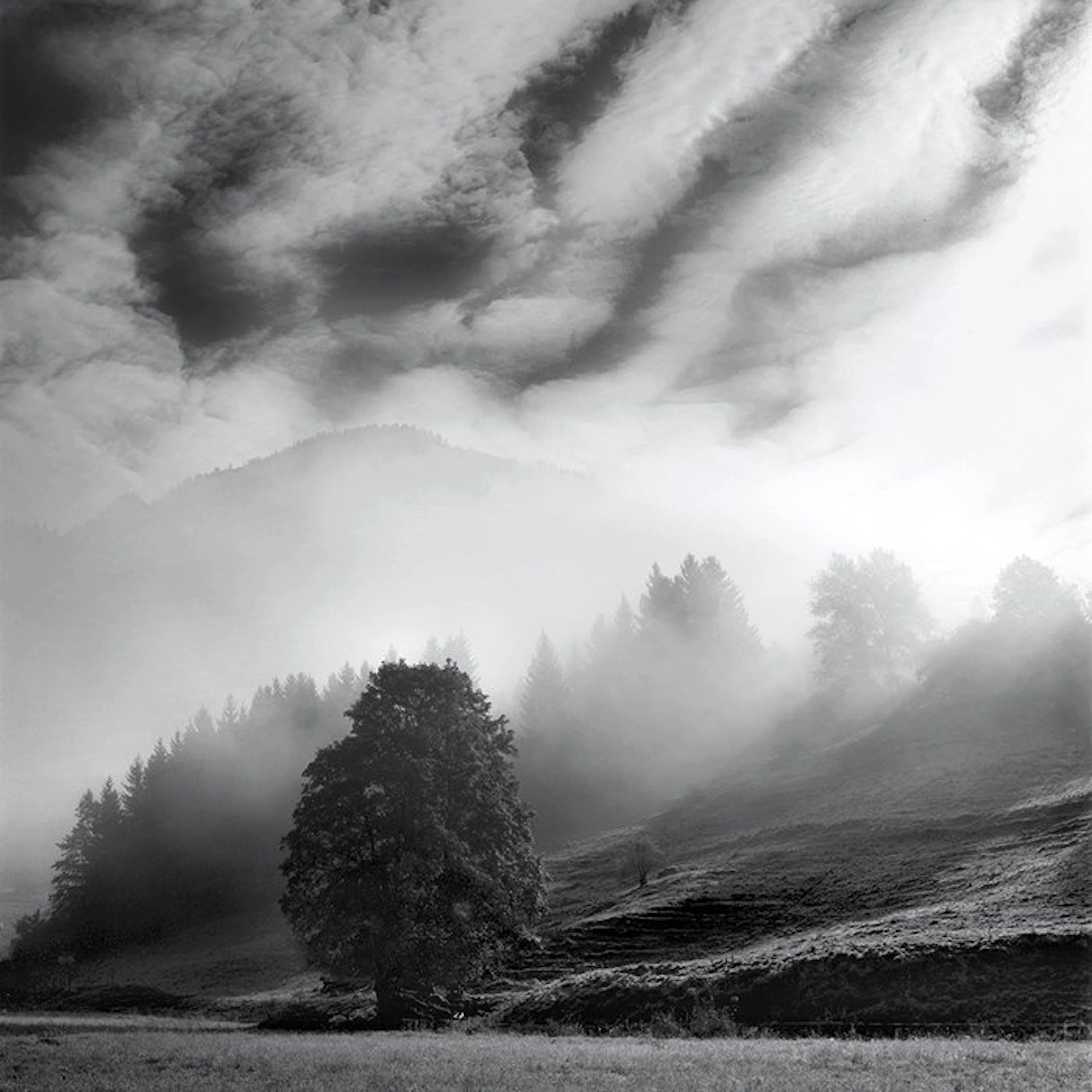 Frank Machalowski - Steiermark