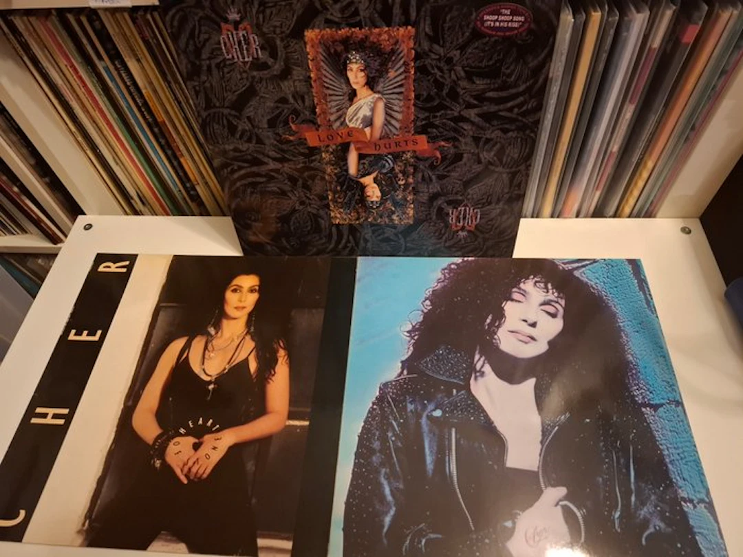 Cher - Great Lot 3 Albums - Multiple titles - LP albums...