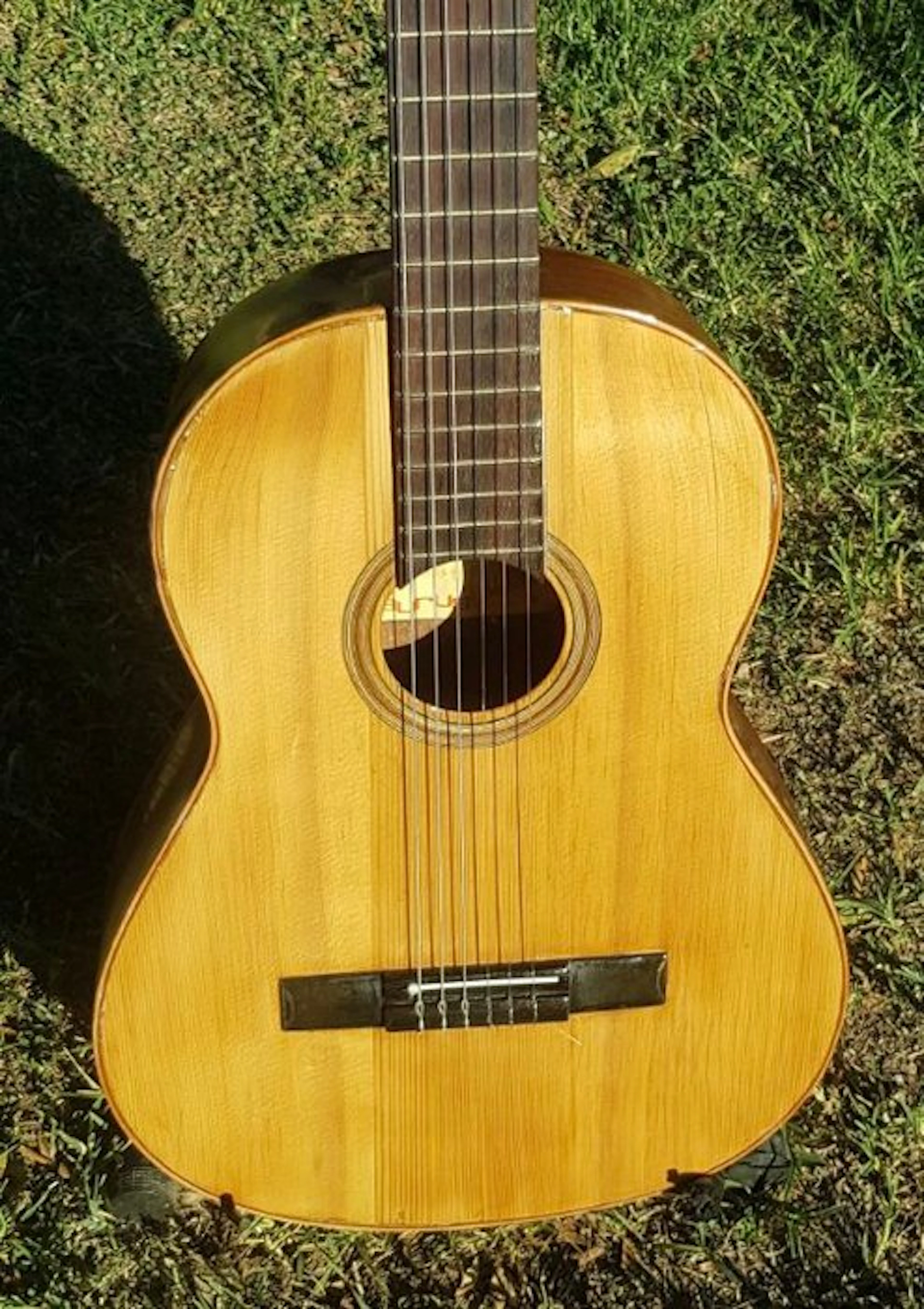 Taurus - - Classical guitar - 1974