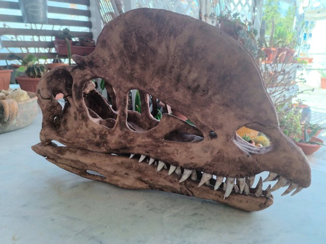 Reptile Skull - Riproduzione cranio Teschio...
