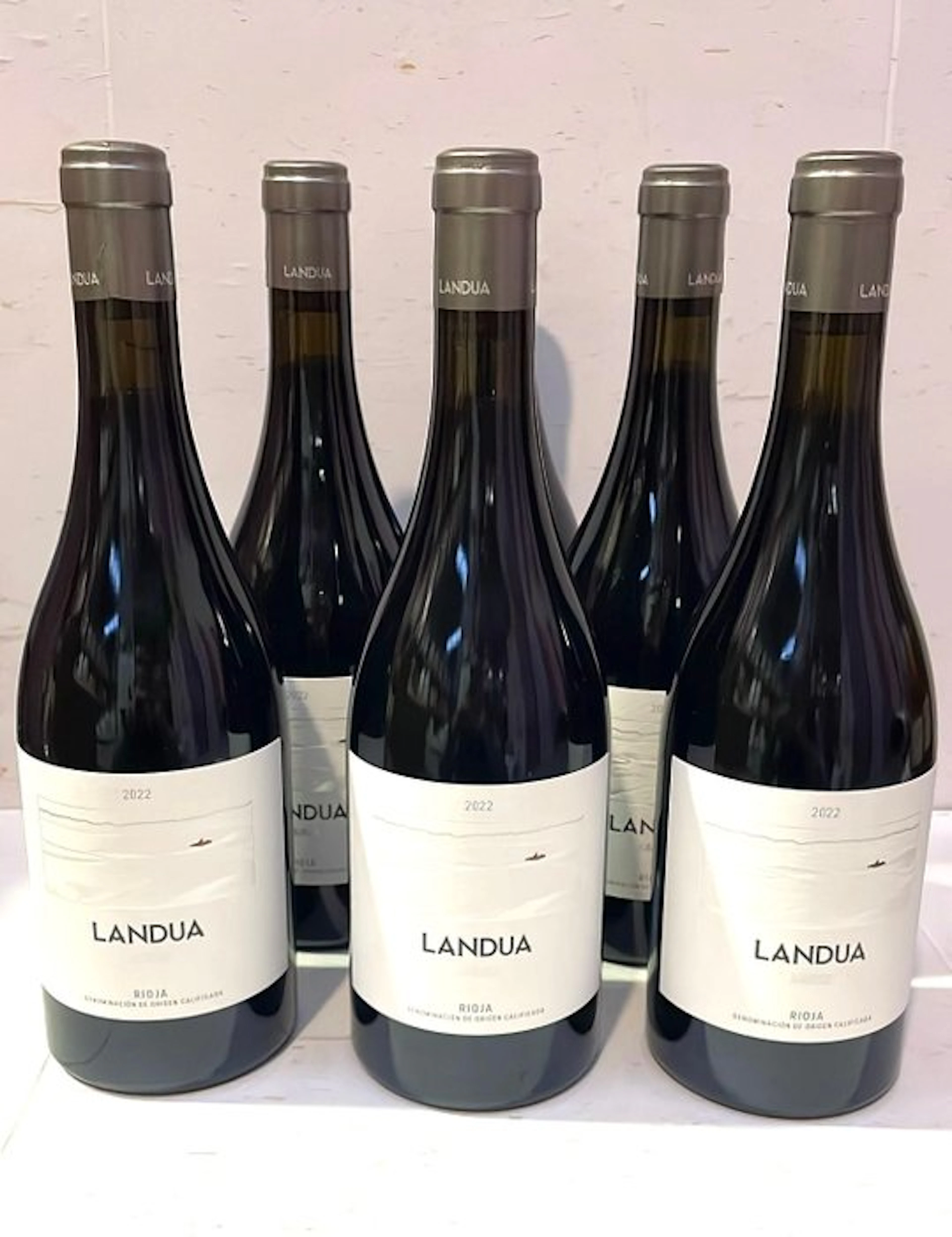 2022 Alto de la Huesera - Aiurri, Landua - Rioja DOCa - 6 Bottles (0.75L)