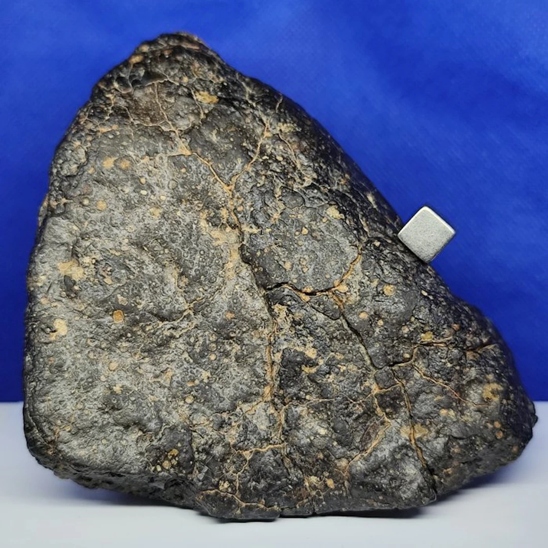 XL, CV3, CARBONACEOUS Chondrite Meteorite (Sahara