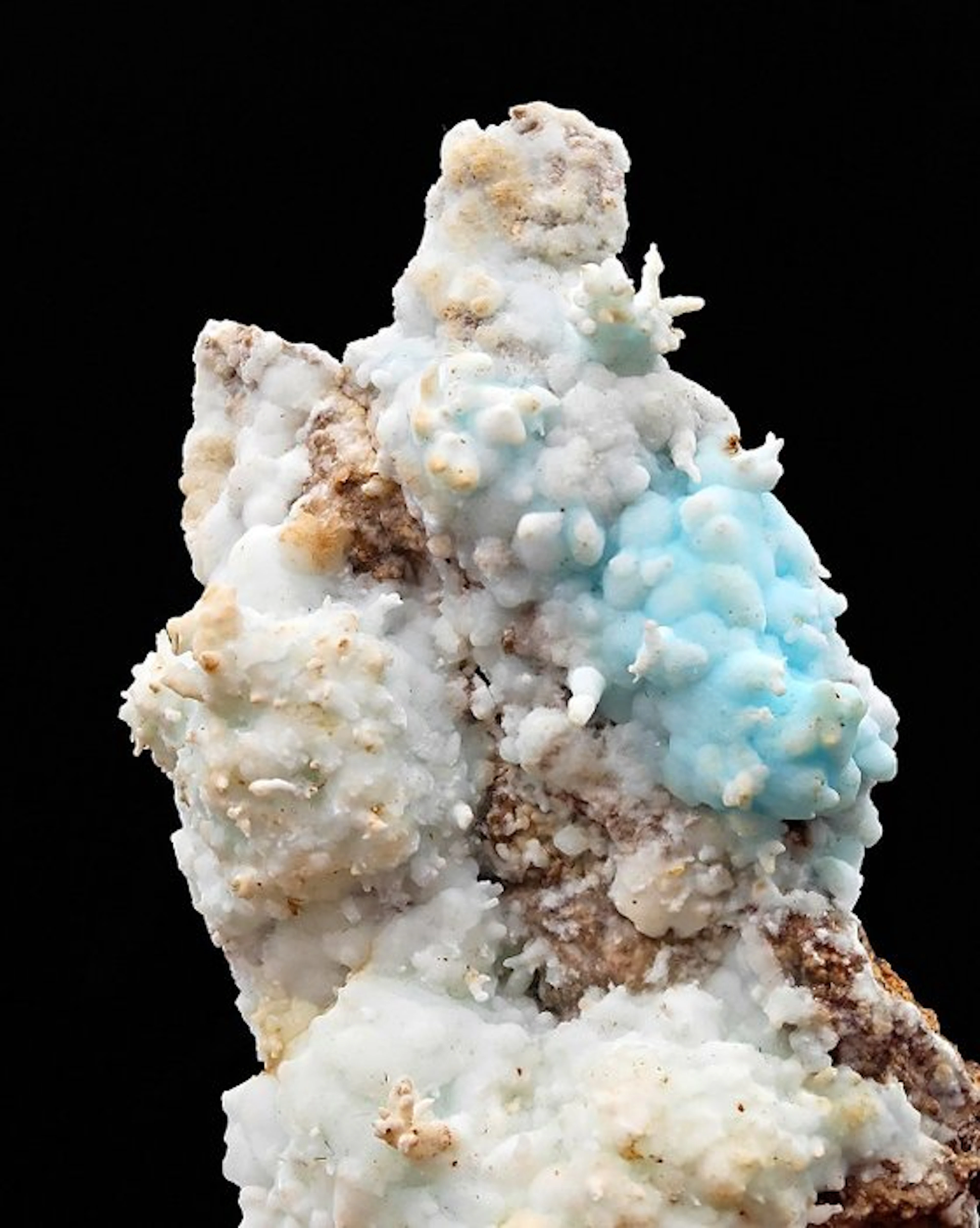Rare bi-colored aragonite