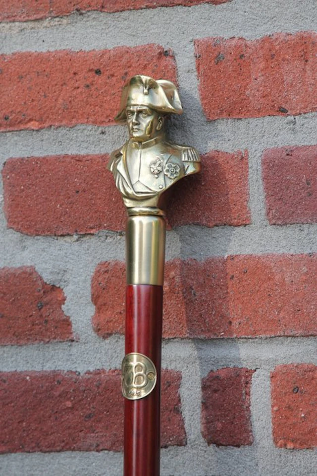 Walking stick - bronze wood