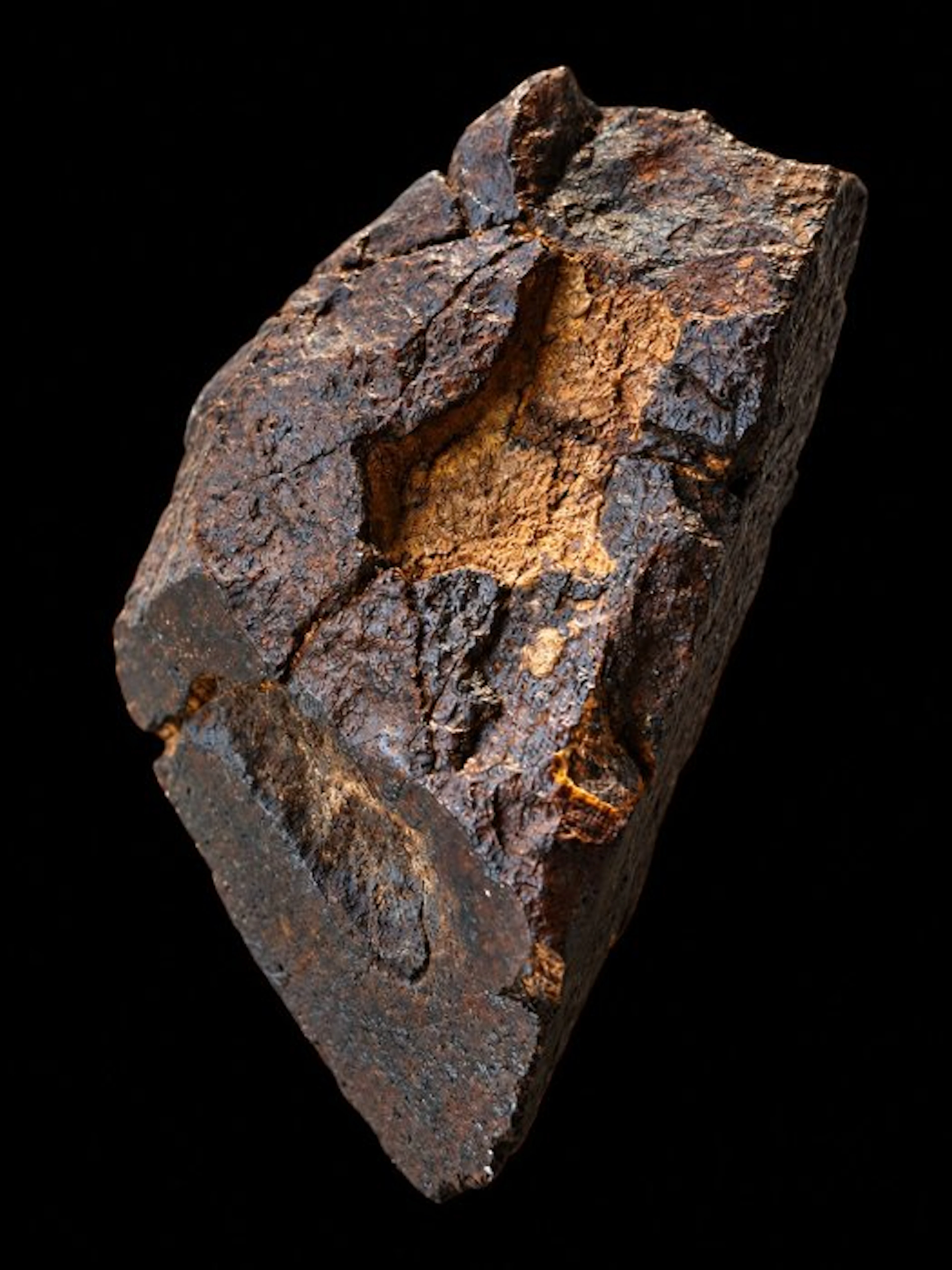 Unclassified NWA meteorite Chondrite Meteorite - Height...