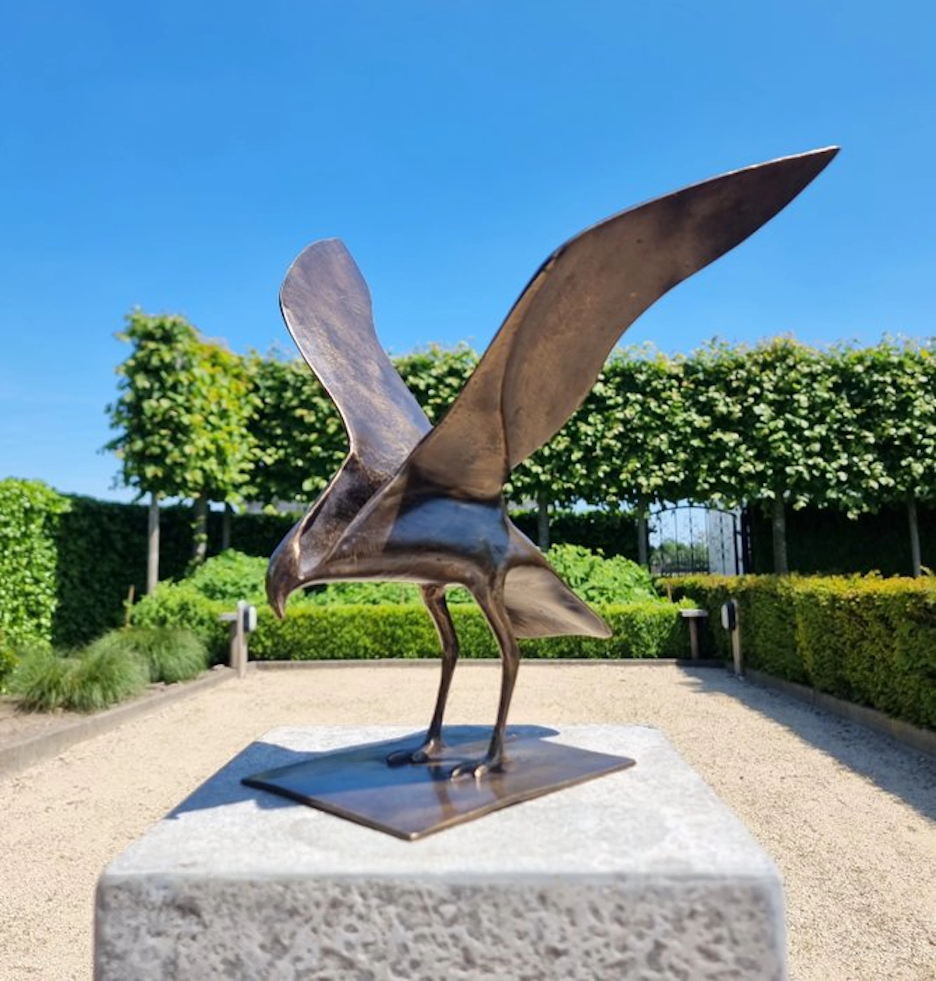 Sculpture, abstracte vogel - 30 cm - Bronze