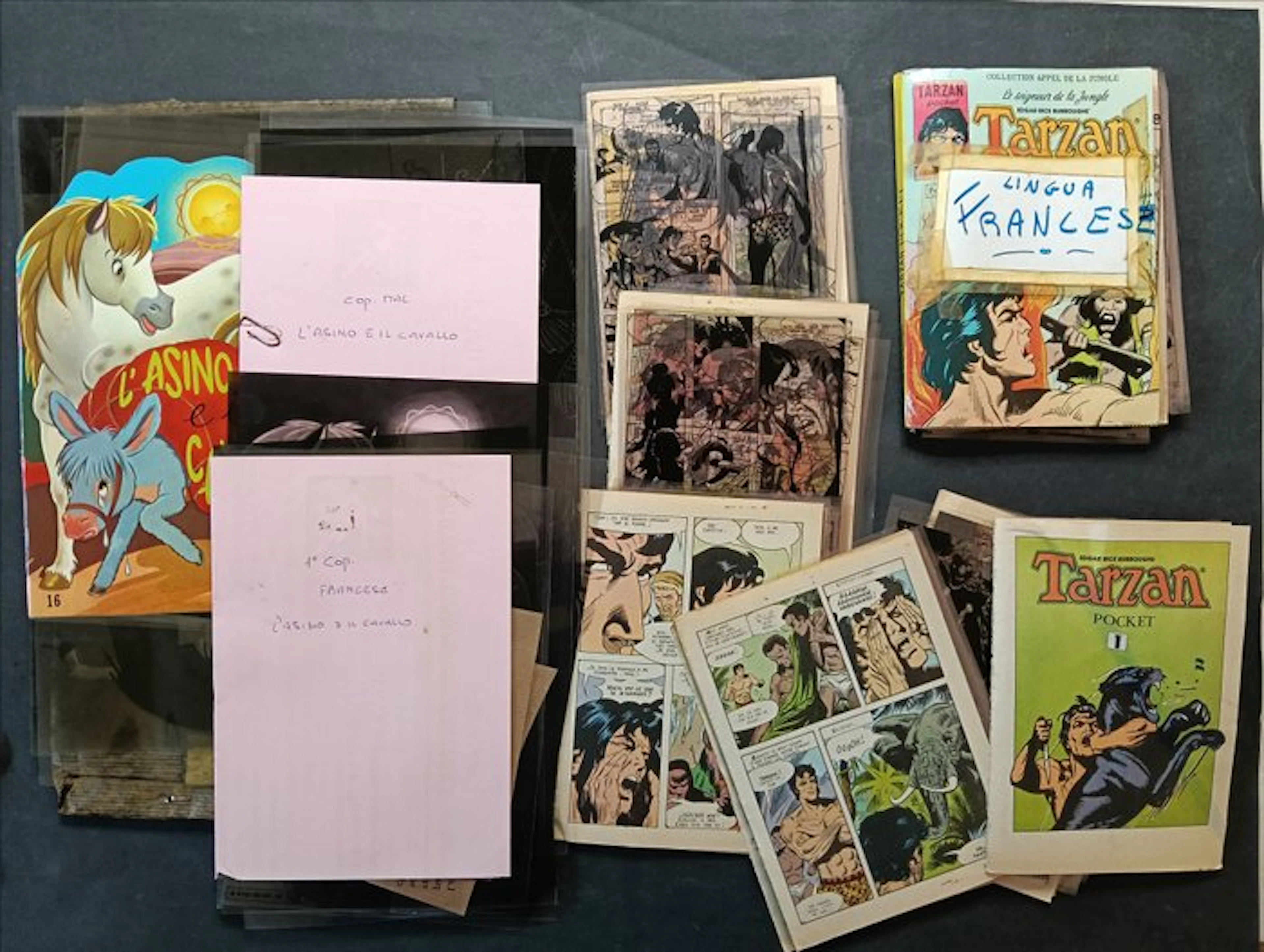 Tarzan - Lotto Tarzan Pocket Tavole Pellicole Trasparenti...