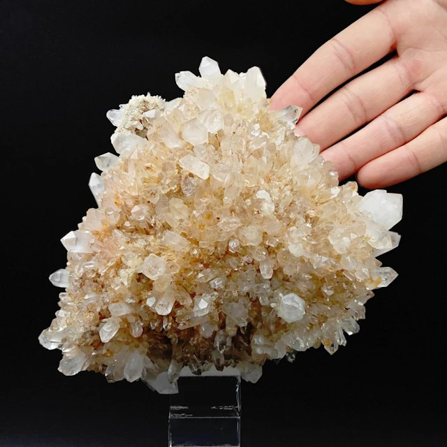 Aesthetic Curly Clear Quartz