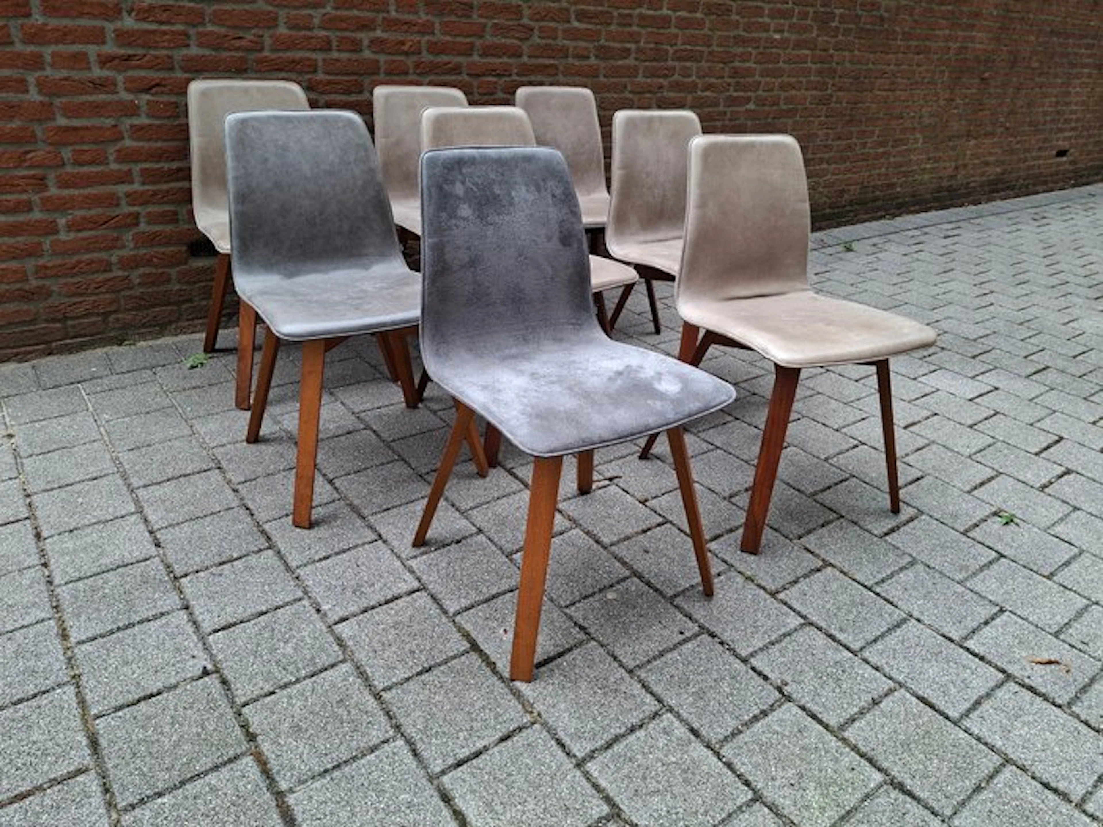 KFF - Hoffmann Khaleyss Design - Chair (8) - Maverick - American walnut wood