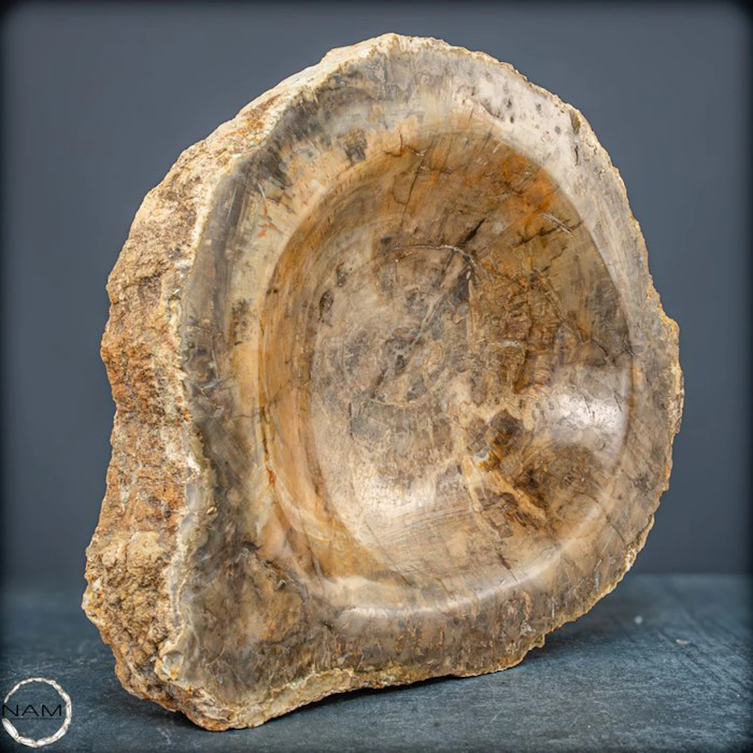 Natural Large Petrified Wood Bowl from Indonesia- 4182.15 g