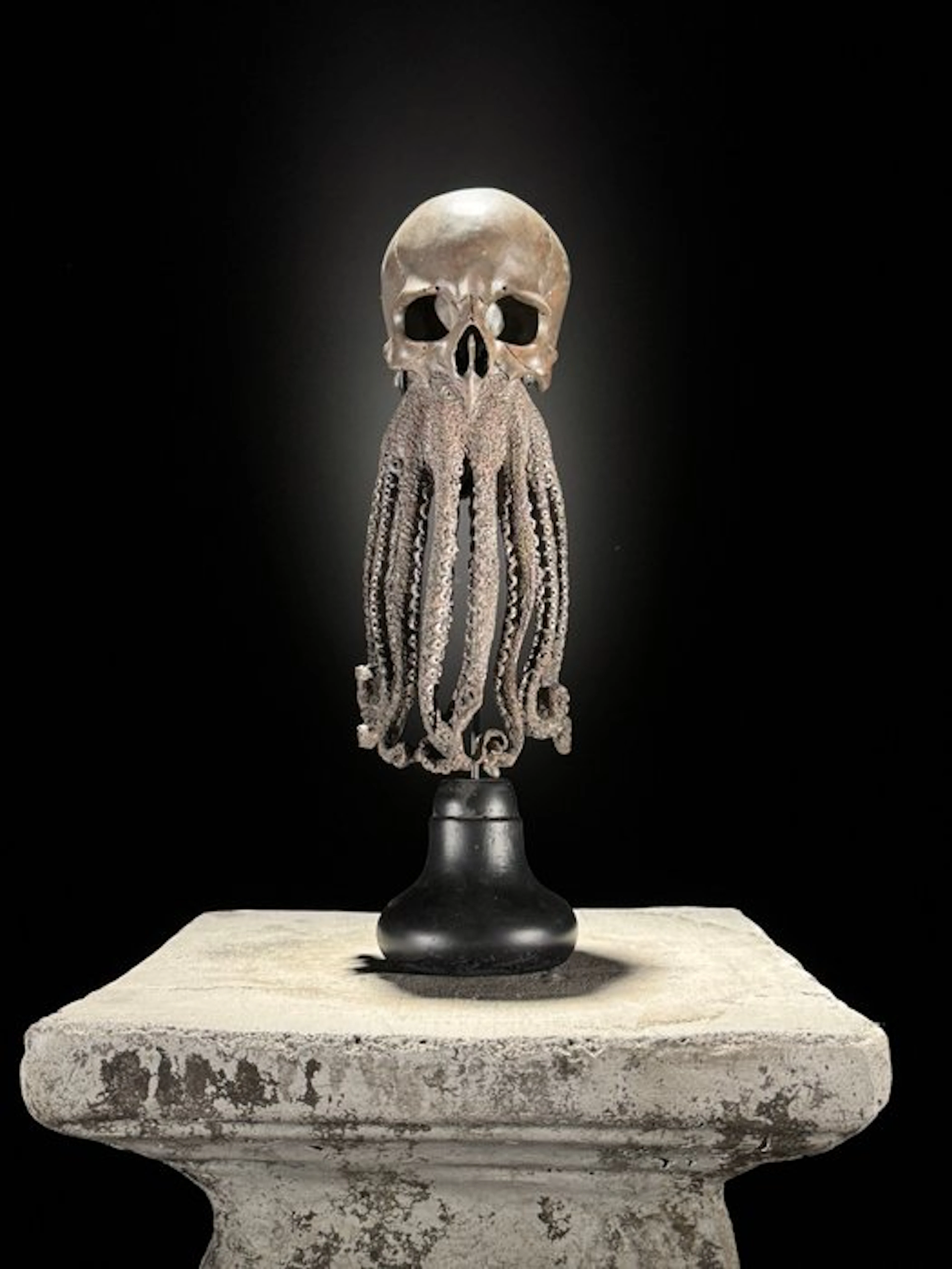 Octopus Skull Sculpture Skull - - - 32 cm - 12 cm - 12 cm- Non-CITES species
