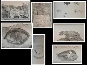 Max Ernst (1891-1976) - Histoire Naturelle